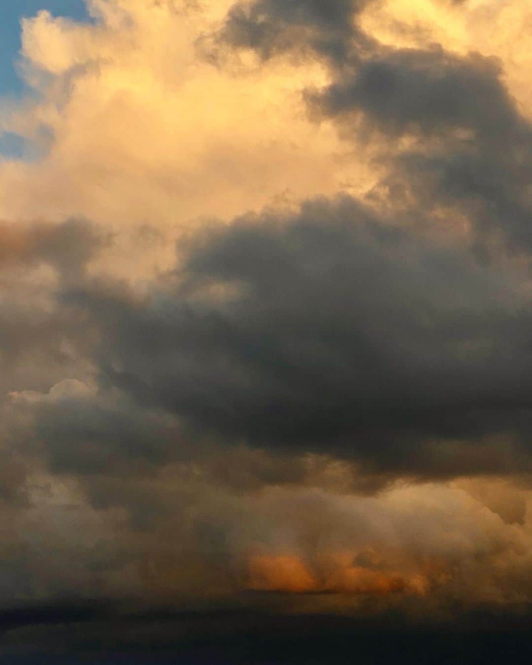 フリーダ・グスタフソンのインスタグラム：「its like turner painted the sky」