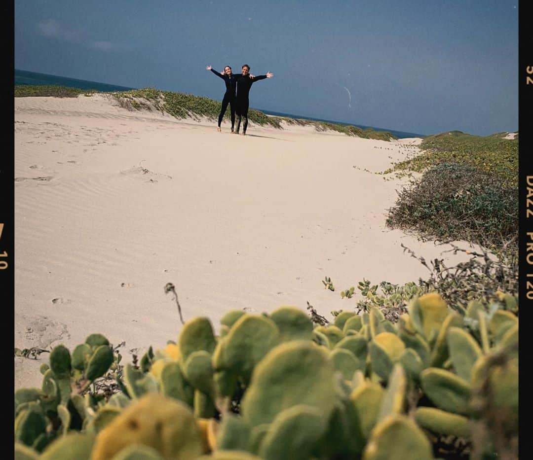 ブリー・ラーソンさんのインスタグラム写真 - (ブリー・ラーソンInstagram)「“The sea can do craziness, it can do smooth, it can lie down like silk breathing or toss havoc shoreward; it can give gifts or withhold all; it can rise, ebb, froth like an incoming frenzy of fountains, or it can sweet-talk entirely. As I can too, and so, no doubt, can you, and you.” - Mary Oliver」10月11日 5時10分 - brielarson