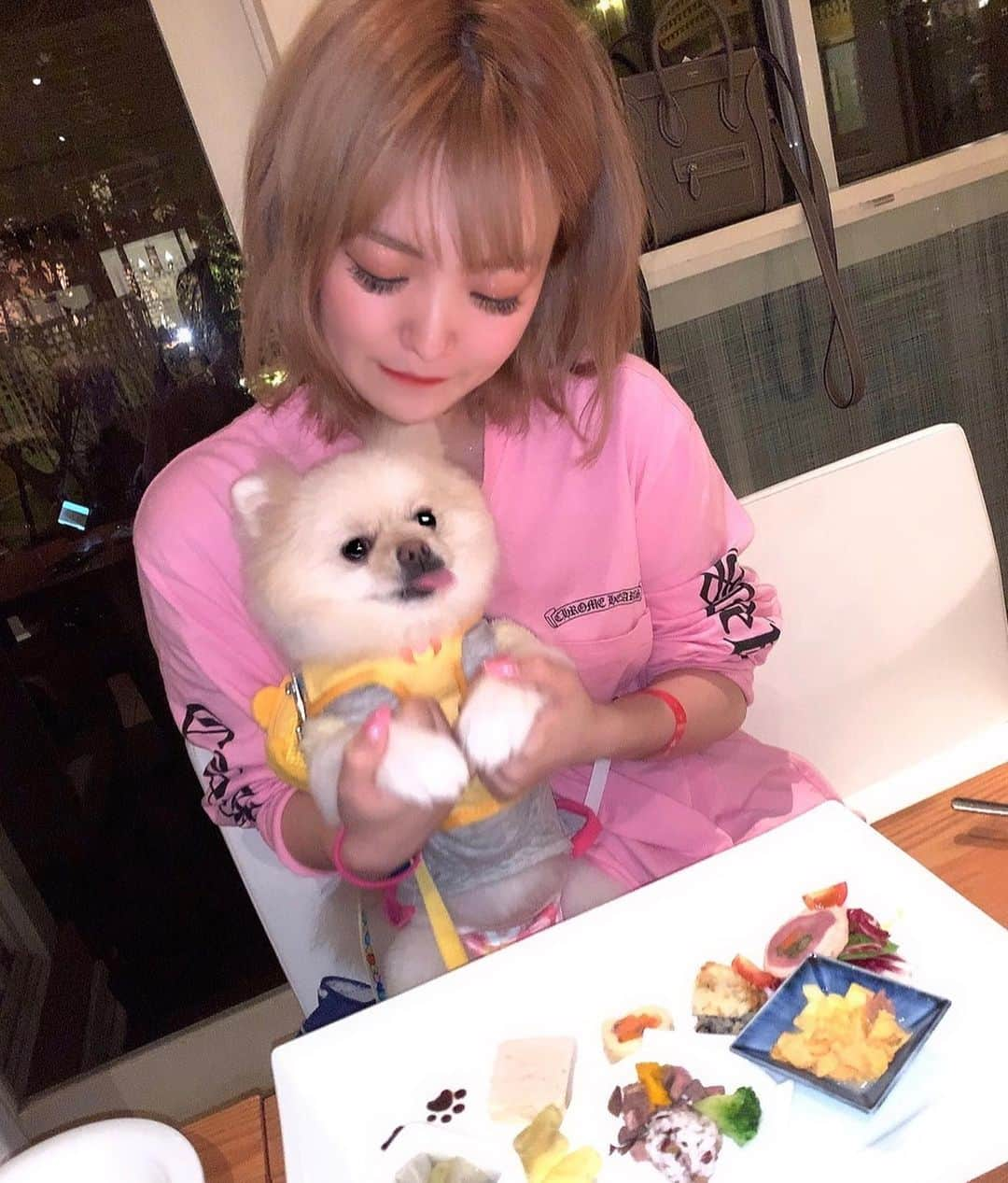 Ribonさんのインスタグラム写真 - (RibonInstagram)「2020.09.18 まろお誕生日🐶🎂 9月はどうしても自分のイベント続きでバタバタしてしまってお祝いできてなかったからこの間千葉のドギーズアイランドにまろのお誕生日祝いとして、一泊してきました🍒🌈 終始いっしょにいれて、ご飯もいっしょに食べて同じとこで寝て本当に楽しかったし、ずっとまろ顔が笑顔で嬉しかったなあ🙆‍♀️💓 こんな飼い主ですけど、これからもたくさん愛情注いでいっしょに暮らしてきます🐣🐣 3歳おめでとう＼＼\\٩( 'ω' )و //／／ . . . . .  #burlesquetokyo #バーレスク東京 #スーパーバーレスク #japanesegirl #kawaii #犬 #いぬすたぐらむ #dogstagram  #ポメラニアン #ポメラニアン部 #休日 #愛犬 #六本木  #歌舞伎町  #ぱっつん前髪 #大人可愛い  #インスタ映え #ポメラニアンが世界一可愛い #笑顔 #smile #ドギーズアイランド」10月11日 5時15分 - ribon_burlesque