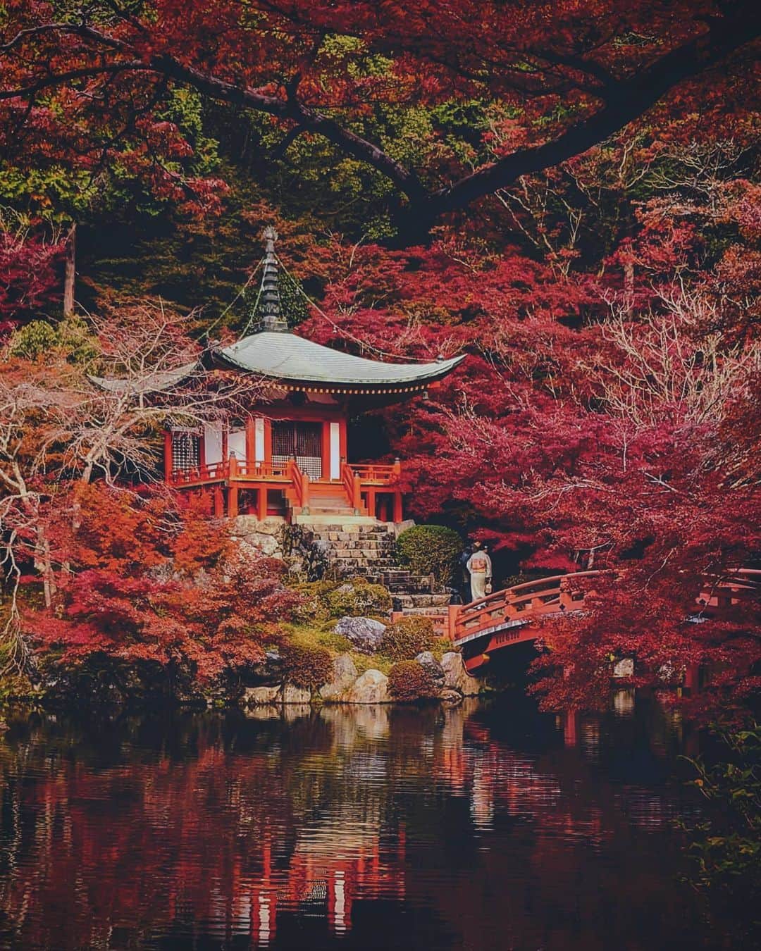 masayaさんのインスタグラム写真 - (masayaInstagram)「I will go to Kyoto of colored leaves this year too! Late November. Look forward! Daigo-ji temple 2019」10月11日 6時15分 - moonlightice