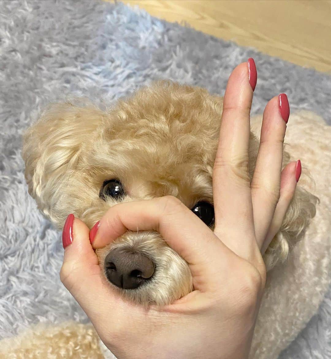 ジヨン のインスタグラム：「쵸비 코코코코❤️」