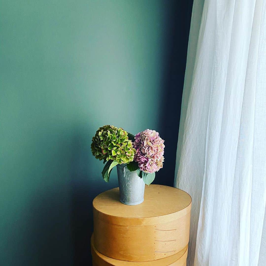 伊藤まさこのインスタグラム：「色の重なりが美しいこの紫陽花「秋色あじさい」っていうんだって。@weeksdays_official weeksdaysでは金曜日から秋色あじさいで作ったリースのコンテンツがはじまりました。」