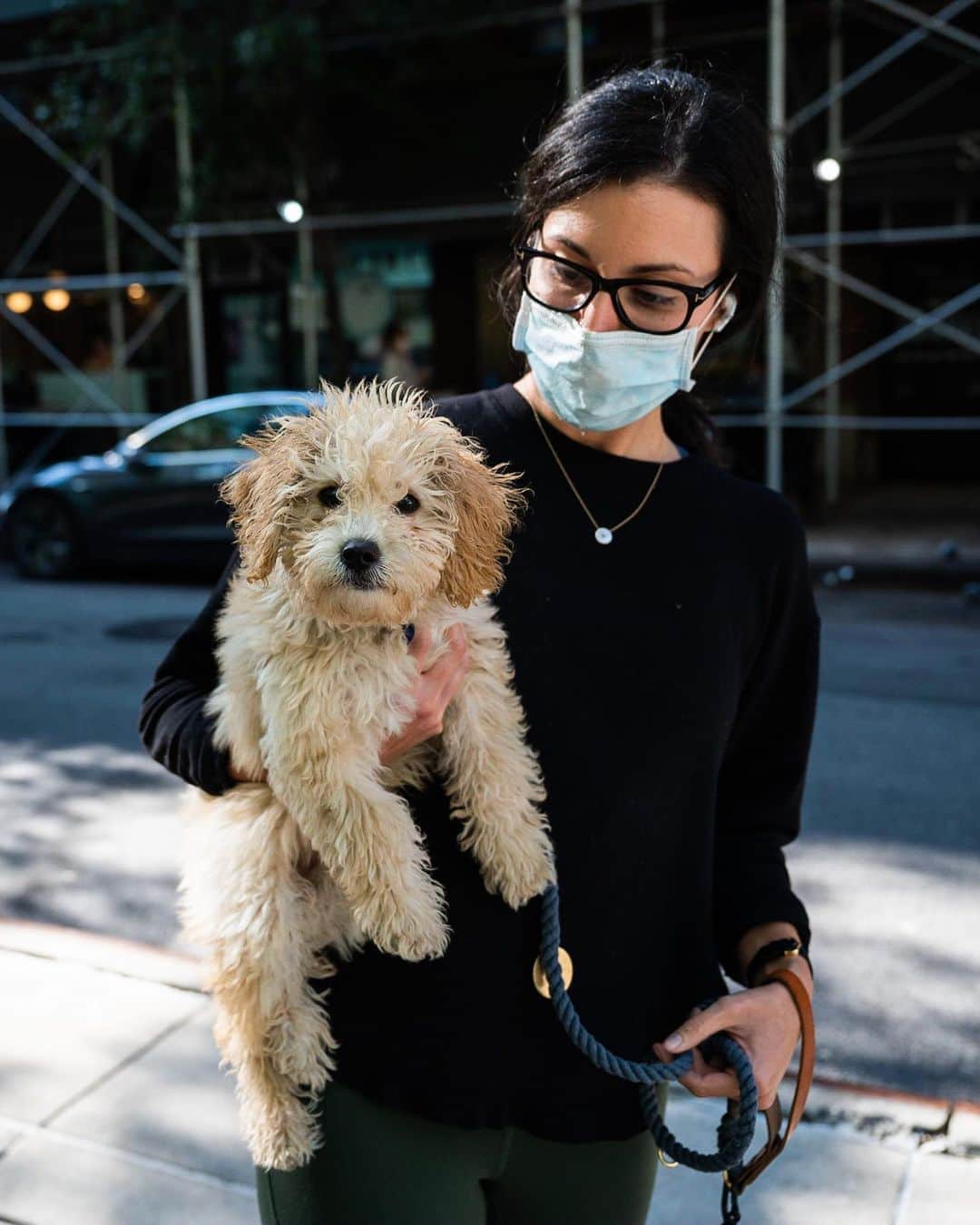 The Dogistさんのインスタグラム写真 - (The DogistInstagram)「Teddy, Cockapoo (3 m/o), 8th & Mercer St., New York, NY • “He’s got an ear infection that we’re treating, so he’s a little less cute than he usually is.”」10月11日 8時05分 - thedogist