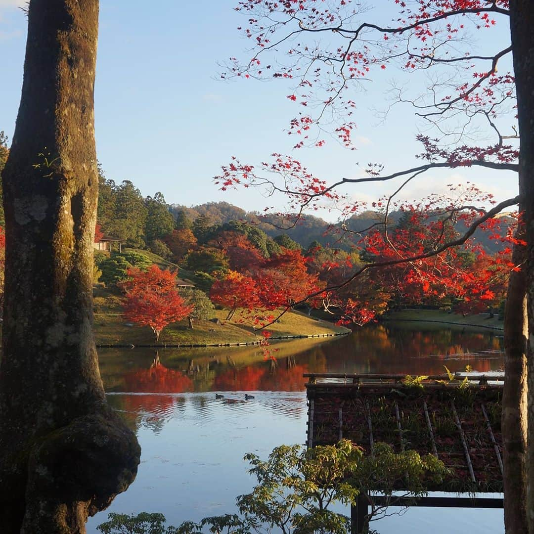 いけばな池坊のインスタグラム