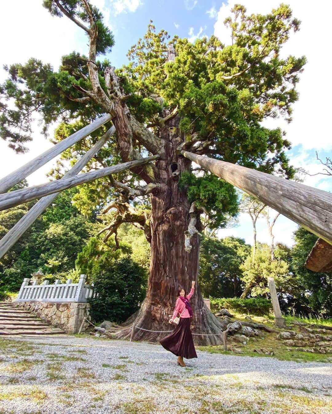 近藤しづかさんのインスタグラム写真 - (近藤しづかInstagram)「この〜木何の木　 気になる木〜🌳  さて問題！  国指定天然記念物のこの巨木 【八百杉】(やおすぎ)は  樹齢、 約何年だと思いますかー？  A.800年 B.1000年 C.2000年  🧚🏻‍♀️✨  #島根県　#隠岐の島　#隠岐島 #玉若酢命神社　 #国指定重要文化財 #八百杉　#天然記念物　 #oki #okiisland #shimane #japantrip #trip  #okinoshima #besttravelpics  #島旅　#旅」10月11日 9時35分 - shizuka_kondo