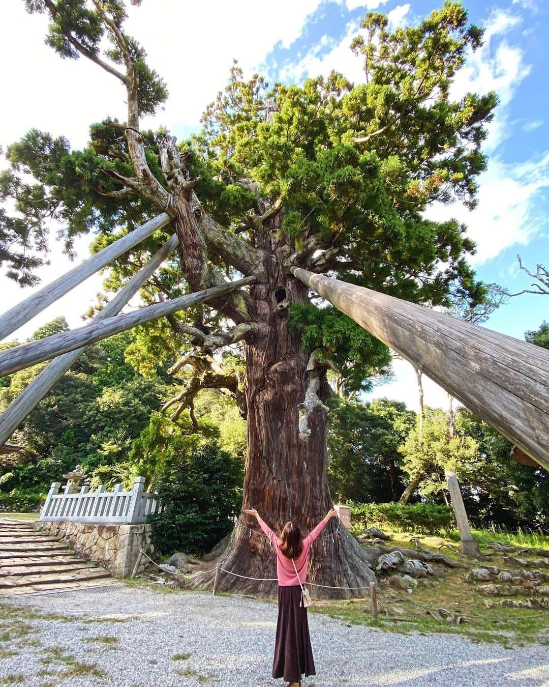 近藤しづかさんのインスタグラム写真 - (近藤しづかInstagram)「この〜木何の木　 気になる木〜🌳  さて問題！  国指定天然記念物のこの巨木 【八百杉】(やおすぎ)は  樹齢、 約何年だと思いますかー？  A.800年 B.1000年 C.2000年  🧚🏻‍♀️✨  #島根県　#隠岐の島　#隠岐島 #玉若酢命神社　 #国指定重要文化財 #八百杉　#天然記念物　 #oki #okiisland #shimane #japantrip #trip  #okinoshima #besttravelpics  #島旅　#旅」10月11日 9時35分 - shizuka_kondo