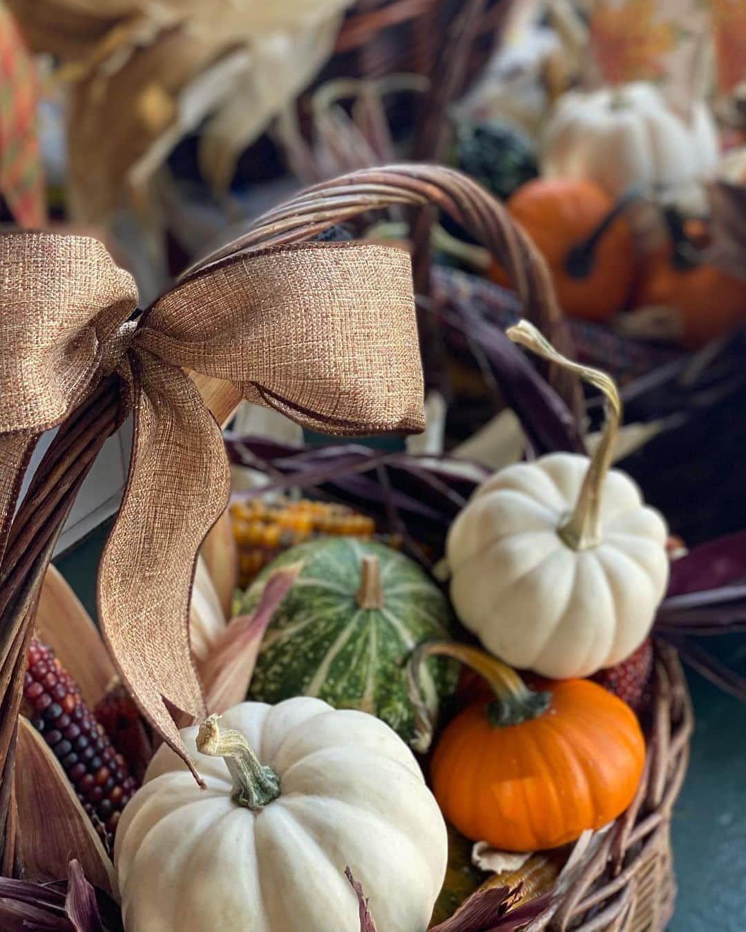 エミリー・シアーズさんのインスタグラム写真 - (エミリー・シアーズInstagram)「Today was a gourd day 🥧 . Swipe if you happen to appreciate obsessively copious amounts of pumpkin aesthetic pics.  . #fall #fallaesthetic #pumpkin #fallinspo #aesthetic」10月11日 9時33分 - emilysears