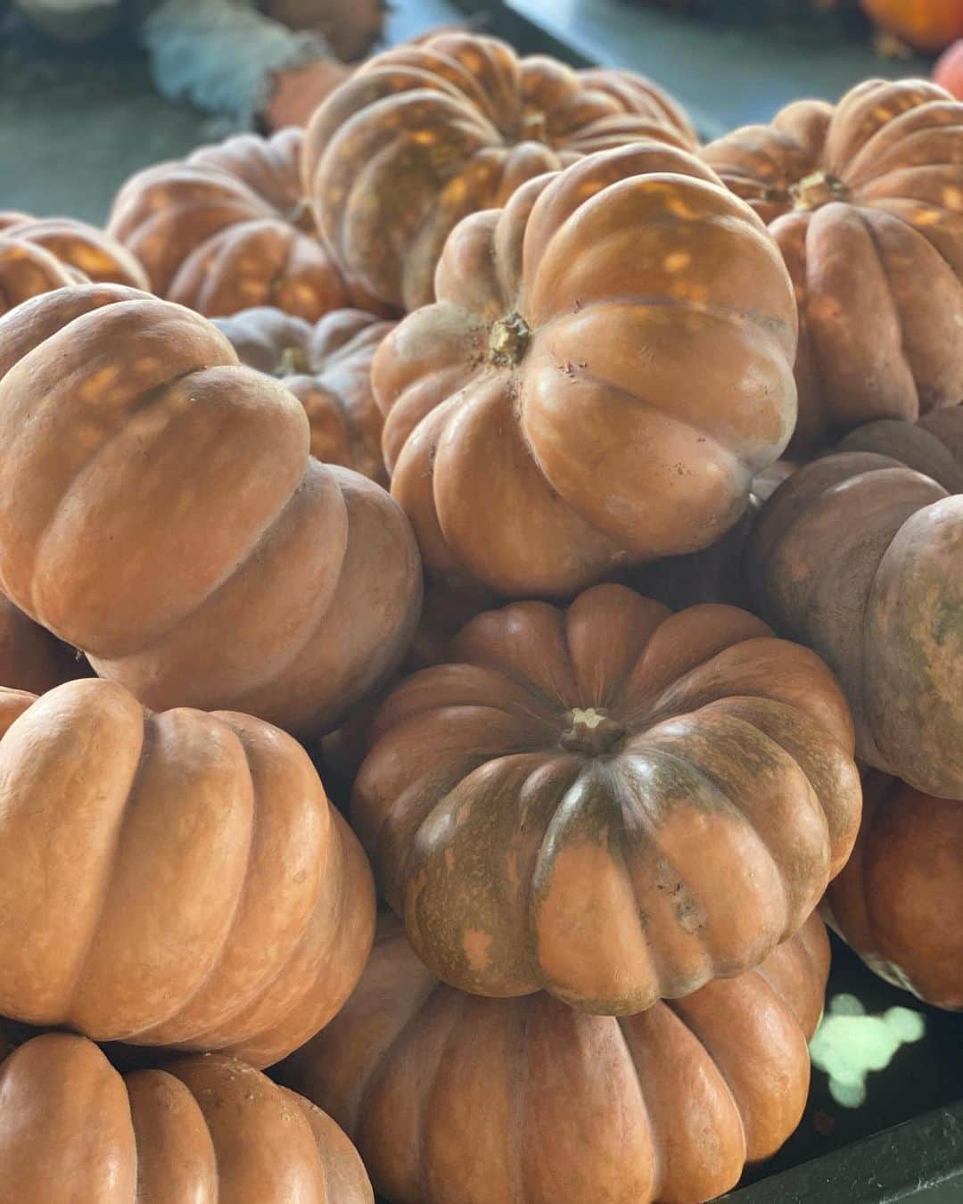 エミリー・シアーズさんのインスタグラム写真 - (エミリー・シアーズInstagram)「Today was a gourd day 🥧 . Swipe if you happen to appreciate obsessively copious amounts of pumpkin aesthetic pics.  . #fall #fallaesthetic #pumpkin #fallinspo #aesthetic」10月11日 9時33分 - emilysears