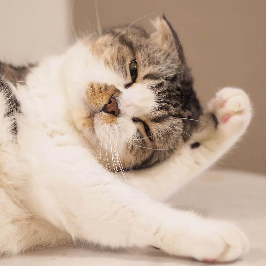 Hitomiのインスタグラム
