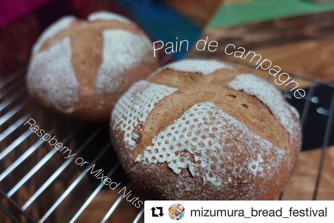 水村リアのインスタグラム：「#Repost @mizumura_bread_festival with @get_repost ・・・  ﻿ わたしのパン専用アカウントが﻿ しばらくカンパーニュだらけになりそう😗﻿ ﻿ カンパーニュにはまってます👏﻿ ﻿ パン屋さんでは惣菜パンを買いがちだけど﻿ 自分で作るのはシンプル🥐多め🤗﻿ ﻿  ﻿ ・﻿ ・﻿ #パングラビア﻿ #パン成形﻿ #パン﻿ #カンパーニュ﻿ #ライ麦全粒粉﻿ #ライ麦粉﻿ #campagne﻿ #rye﻿ #パン好きな人と繋がりたい ﻿ #パン作り好きな人と繋がりたい﻿ #パン作り初心者﻿ #アスリートフードマイスター﻿ #ミズムラパン祭り🥐﻿ #ミズムラ在宅ベーカリー🍞」