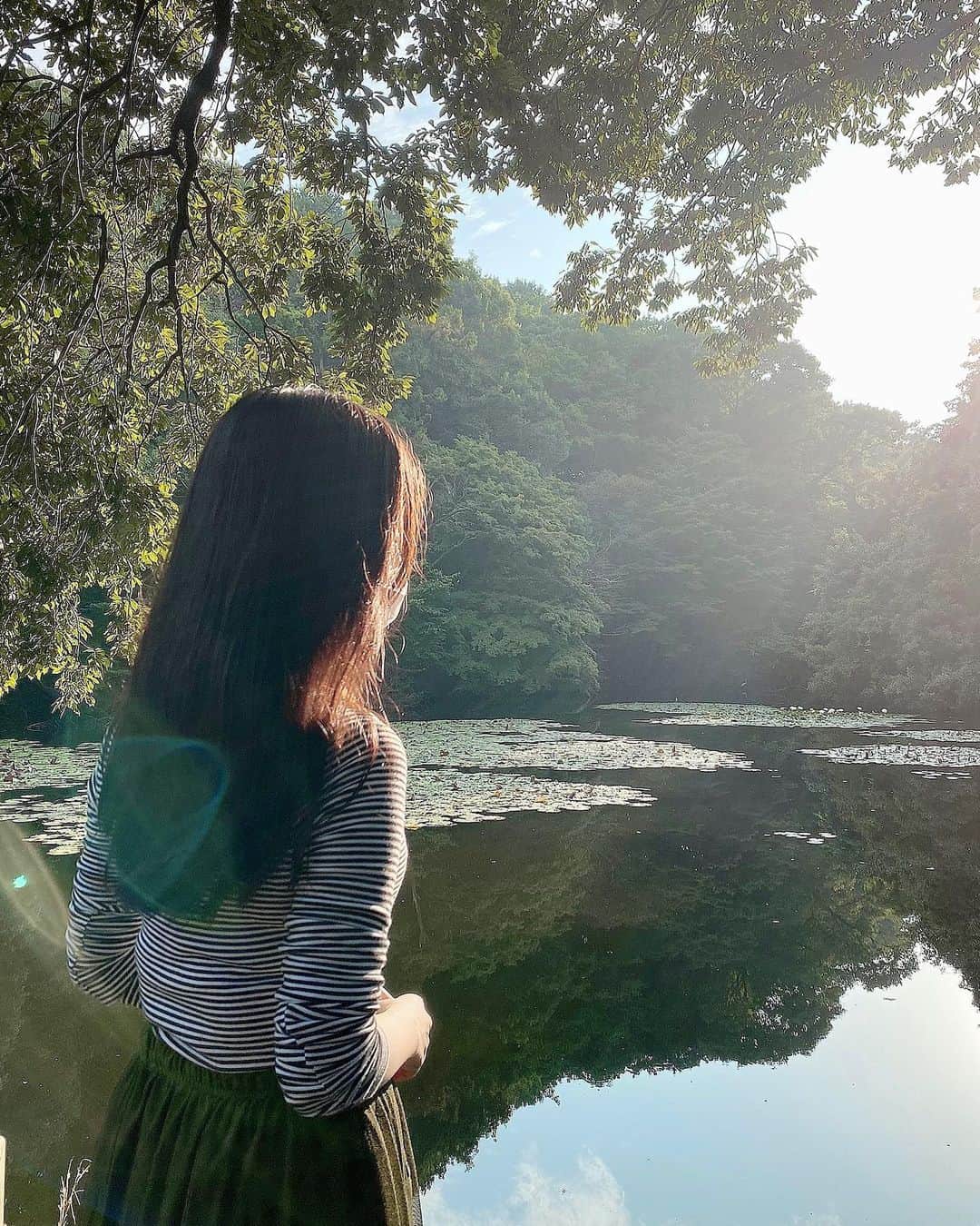 岡田ひとみ（ねんドル）さんのインスタグラム写真 - (岡田ひとみ（ねんドル）Instagram)「深呼吸 The forest is in the middle of the city. #tokyo #meijijingu #working #nature #pond #散歩」10月11日 19時48分 - hitomi_nendol