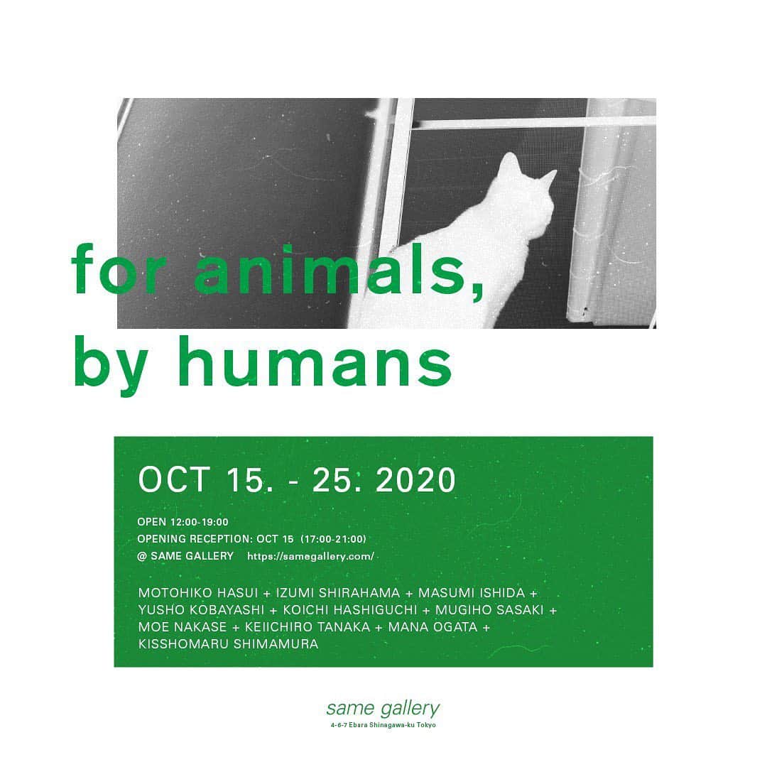 Kisshomaru S.のインスタグラム：「for animals, by humans  現代社会で生きる私たちは、愛くるしい犬や猫などの動物に様々な面で助けられて生活をしています。そこで、私たち人間に近い存在のペットや動物に感謝を込めて、様々なジャンルで活躍されているアーティストの方々に参加いただき、“for animals, by humans”をテーマにした作品を展示・販売いたします。本展示の売り上げの全額を動物愛護団体へ寄付させていただきます。  ARTISTS MOTOHIKO HASUI @motohiko_hasui  IZUMI SHIRAHAMA @loveli_official  MOE NAKASE @moe0814n  MANA OGATA @manaogata  MASUMI ISHIDA @8msmsm8  MUGIHO SASAKI @mugihoriceout  YUSHO KOBAYASHI @yushokobayashi  KEIICHIRO TANAKA @keiichiro_tanaka09  KOICHI HASHIGUCHI @ichihashiko  KISSHOMARU SHIMAMURA @kisshomaru   DATE 10/15(THU) - 10/25(SUN) 12:00-19:00  OPENING RECEPTION 10/15(Thu) 17:00-21:00  FOR MORE DETAILS ON @same_gallery https://samegallery.com/4animals」