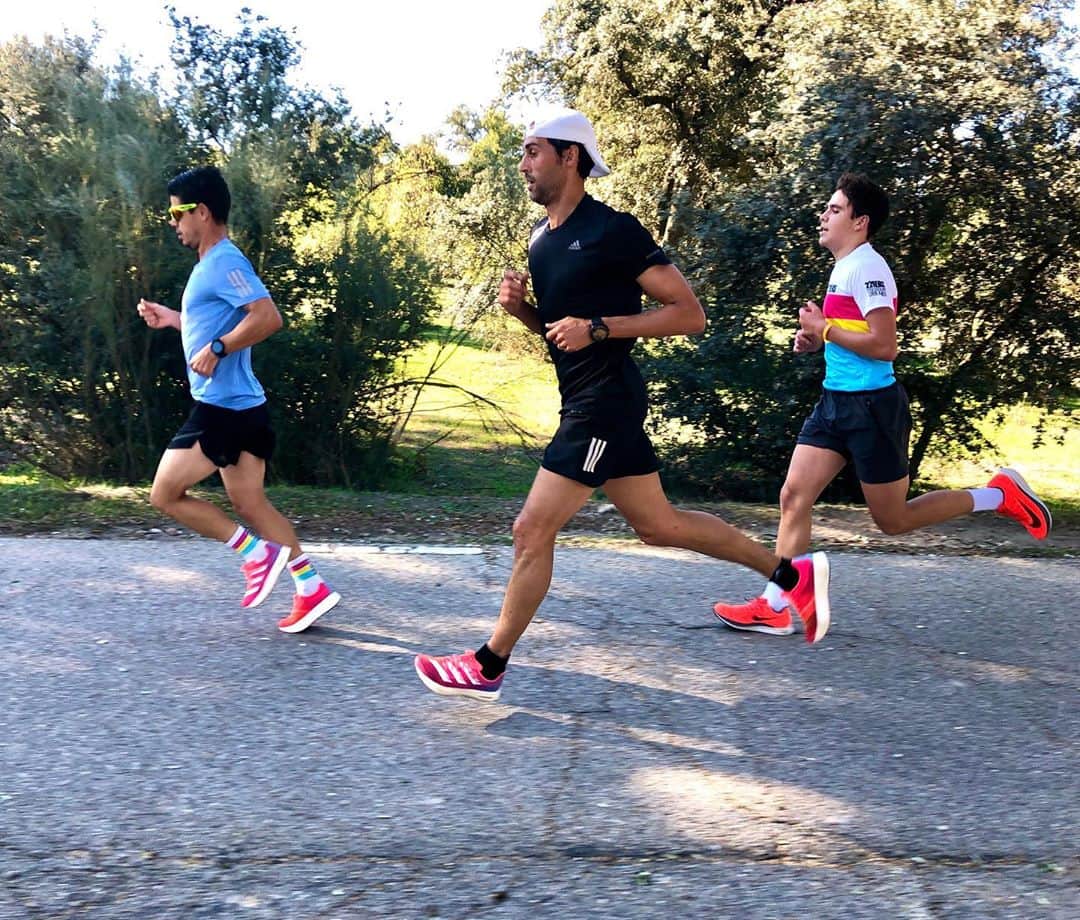 アルバロ・アルベロアのインスタグラム：「¡Vaya entreno nos hemos pegado hoy!  Recuperando ritmos altos, buenas sensaciones y preparándonos para el circuito de carreras de la @fundacion.realmadrid. ¡A por ello!  📸 @sevilleman」