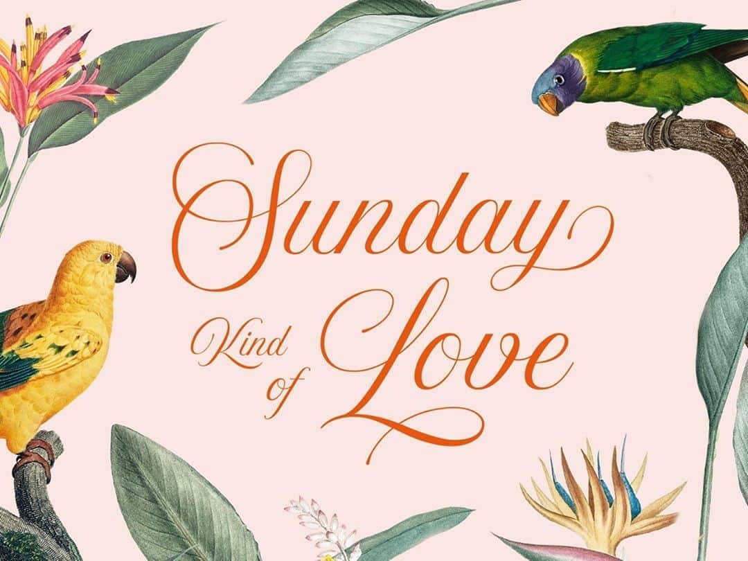 Dribbbleさんのインスタグラム写真 - (DribbbleInstagram)「Sunday Kind of Love by Helena Olson ⠀ ⠀ #dribbble #design #sunday #lettering #handlettering #illustration」10月11日 20時35分 - dribbble