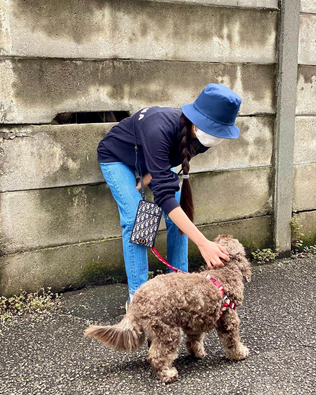 木村心美さんのインスタグラム写真 - (木村心美Instagram)「Osanpo🤩.  ブタクサアレルギー、発症しました。今までアレルギーゼロだったのでなんだか悔しいです。ブタクサに負けました。 ・ お散歩ではカマキリとカラスに遭遇しました。カラスの羽の色が好きです。 ・ #杉田智和さん誕生祭2020 ・ 帽子とバッグ: @dior」10月11日 20時56分 - cocomi_553_official