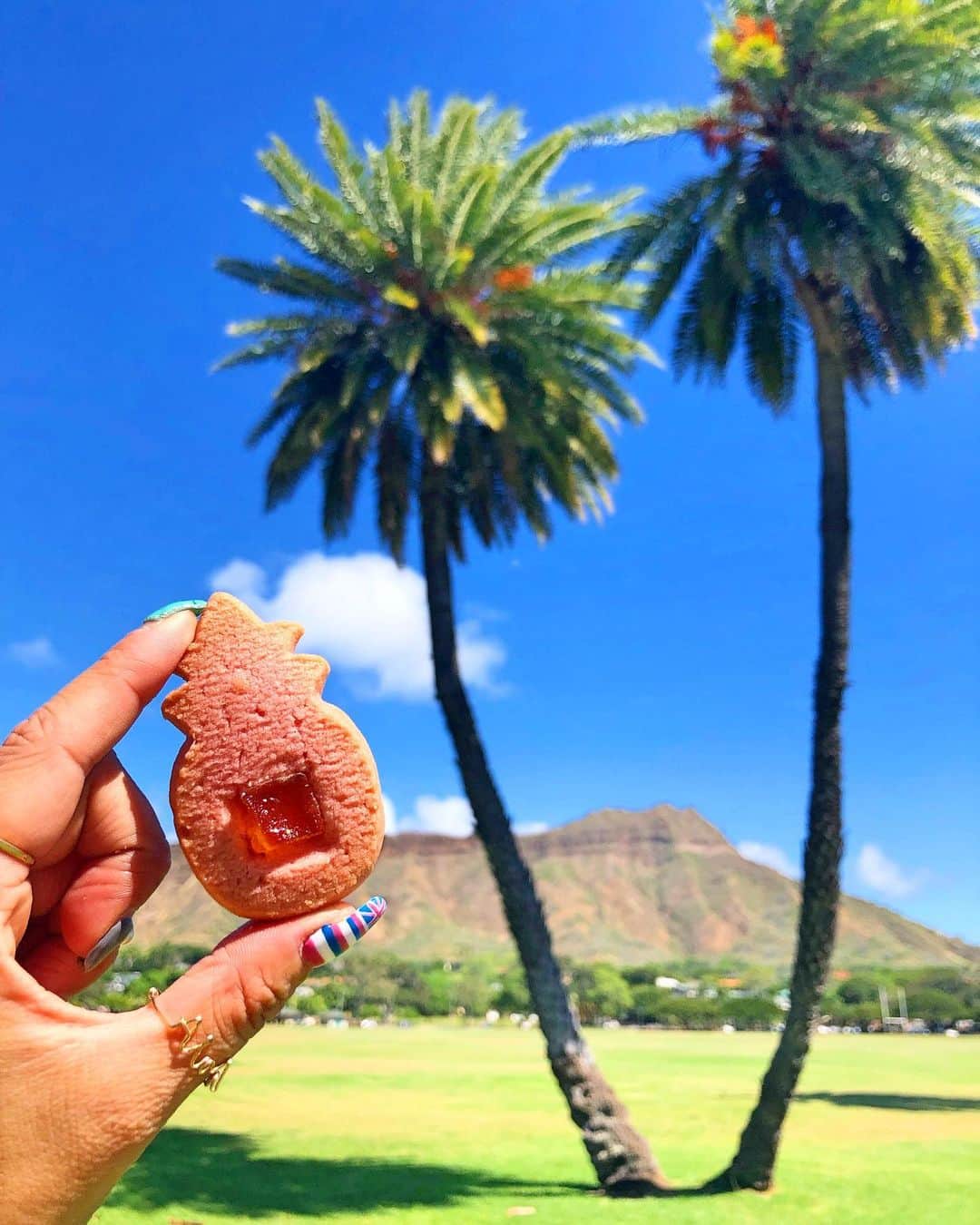 のインスタグラム：「💗🍍💗🍍💗 ・ Hawaiiに行ったら 必ず！必ず買うホノルルクッキー。 パイナップルの形をした可愛い見た目と サックサクの食感。 初めて食べた時あまりの美味しさに 衝撃を受けたクッキー🤭笑 ・ たくさんのフレーバーがあるけど 手に持っているのは Hawaiiらしさ溢れるグアバ味。 ピンクで可愛くて撮りたくなっちゃうよね♡ お土産にも喜ばれるから いつも自分用、お土産用に大量買い。 ・ なかなかHawaiiに行けない今、 恋しい食べ物たっくさんあるけど、、 今1番恋しいのは ホノルルクッキーかもしれない‥♡笑 ・ #hawaii#islandofoahu#oahu#ハワイ#trip #オアフ島#travel#loco_hawaii#travel_jp #funtorip#タビジョ#旅MUSE#genic_travel #genic_mag#たびねす#旅行#genic_hawaii #honolulucookie#cookie#food#sweets #honolulu#waikiki#genic_food#oahuhawaii #tabijyomap_hawaii#lealeahawaii#2020」