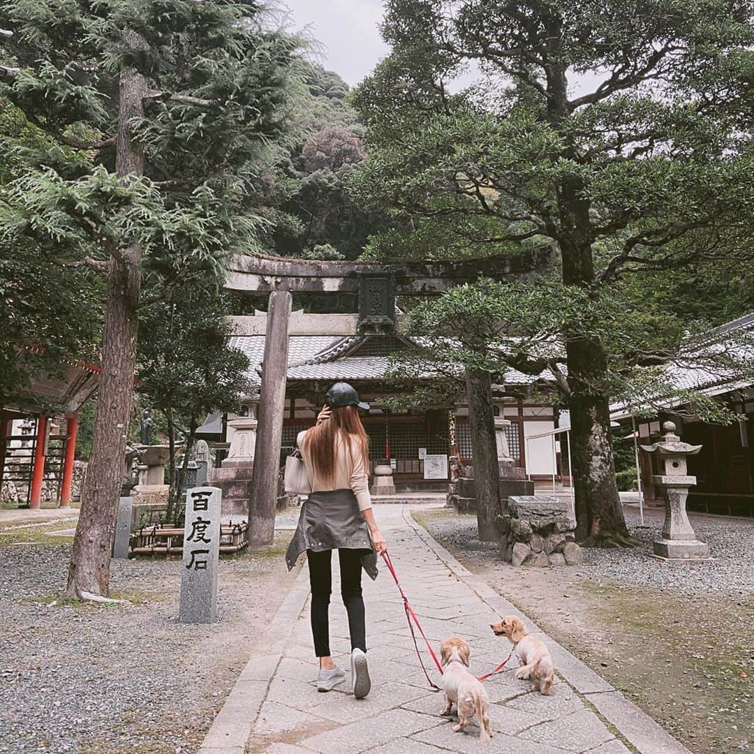 鈴木絢子さんのインスタグラム写真 - (鈴木絢子Instagram)「・ ・ 【大阪パワースポット⛩】 #日本最古の修行場 #日本最古の弁財天 #宝くじ発祥の地 ・ 軽い犬の散歩のつもりで来たら、 と色々凄かった箕面公園＆瀧安寺 🐶🐶 ・ まずは車中で猿を目撃🐒 箕面大滝へは修行のような急勾配。 犬抱っこで階段を登って、、参拝へ。 最終的には森林浴で癒されました🤗 ・ ちなみに宝くじ発祥の地だけあり、瀧安寺のご利益は👉 財運、金運、芸事 などなど🙏 ・ こちらの名物が#紅葉の天ぷら なのだとか...🍁 今年の秋冬は寒暖差が大きくなるようで、紅葉にも期待。 シーズンにまた来たいです😊✨ ・ ・ ・ #箕面公園 #箕面大滝 #瀧安寺 #日本最古 #富くじ #箕面富 #箕面山 #猿 #犬の散歩 #関西犬散歩 #関西のパワースポット #大阪パワースポット #運気アップ #商売繁盛 #財運アップ #金運アップ #滝 #パワースポット #朝の散歩 #紅葉スポット #親子犬 #犬バカ部 #ストレートヘア #jinjya #⛩ #🐶🐶」10月11日 12時27分 - ayako_suzuki810