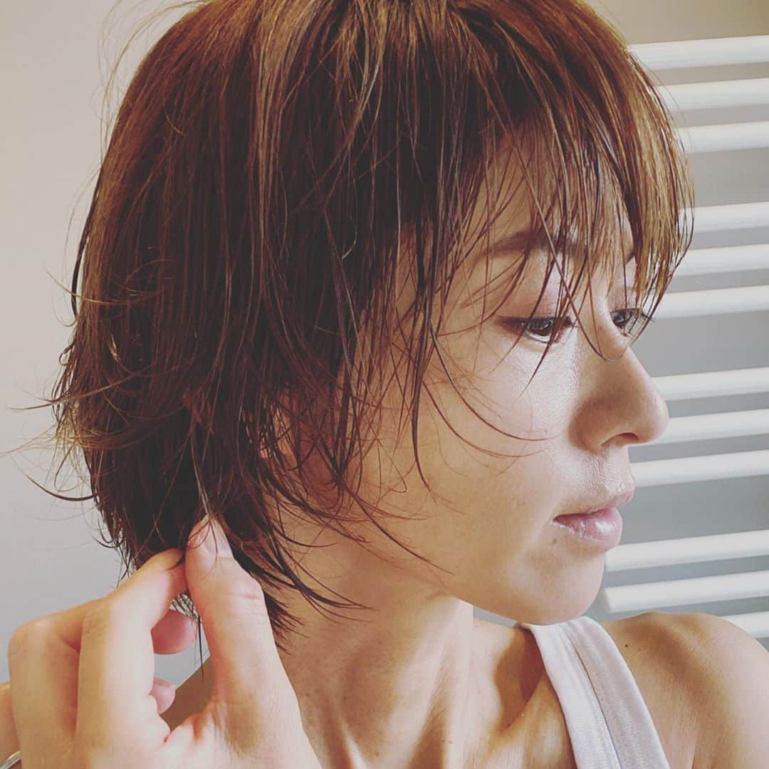 畑野ひろ子のインスタグラム：「そろそろエアウェーブかけたいなぁ。」