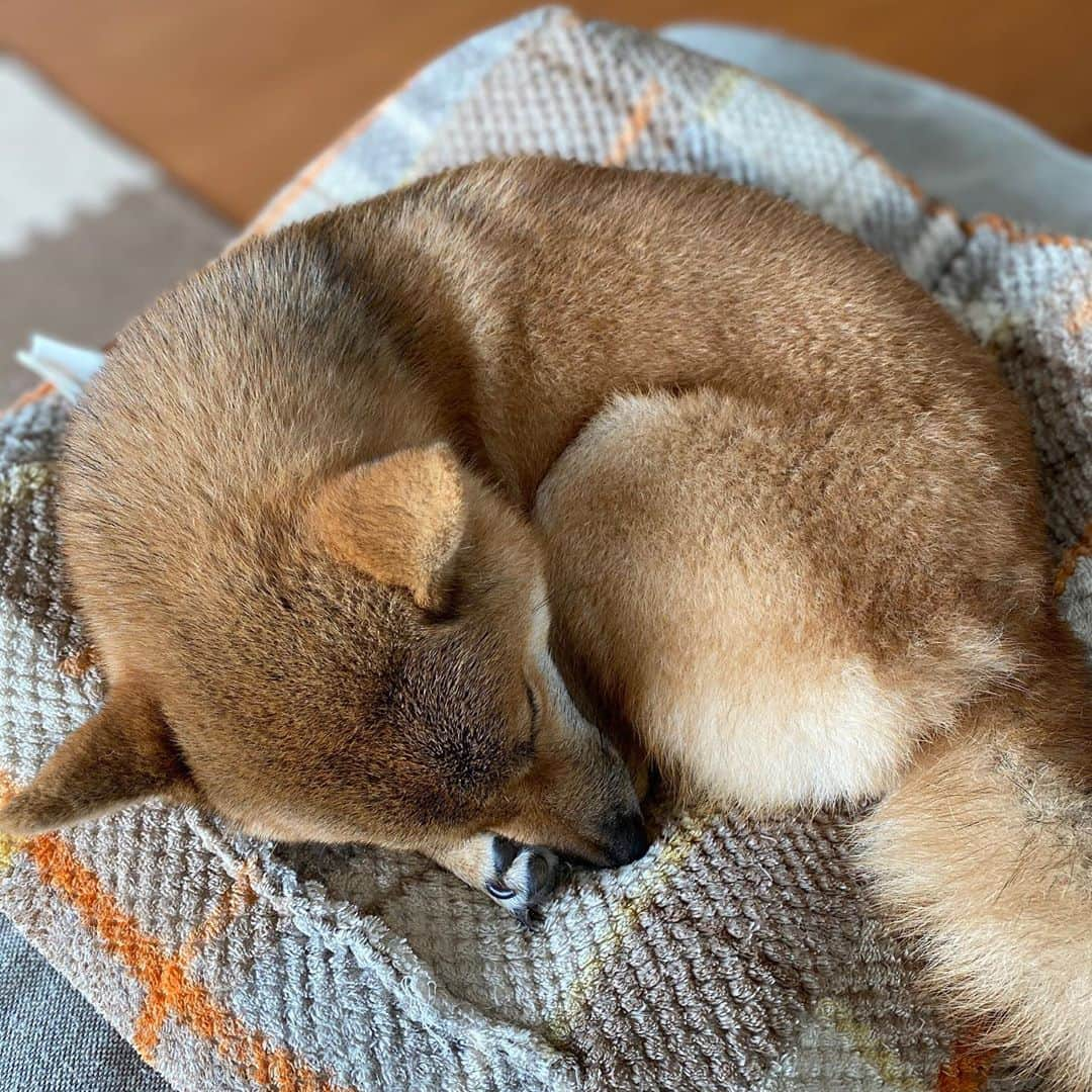 蒼井里紗のインスタグラム