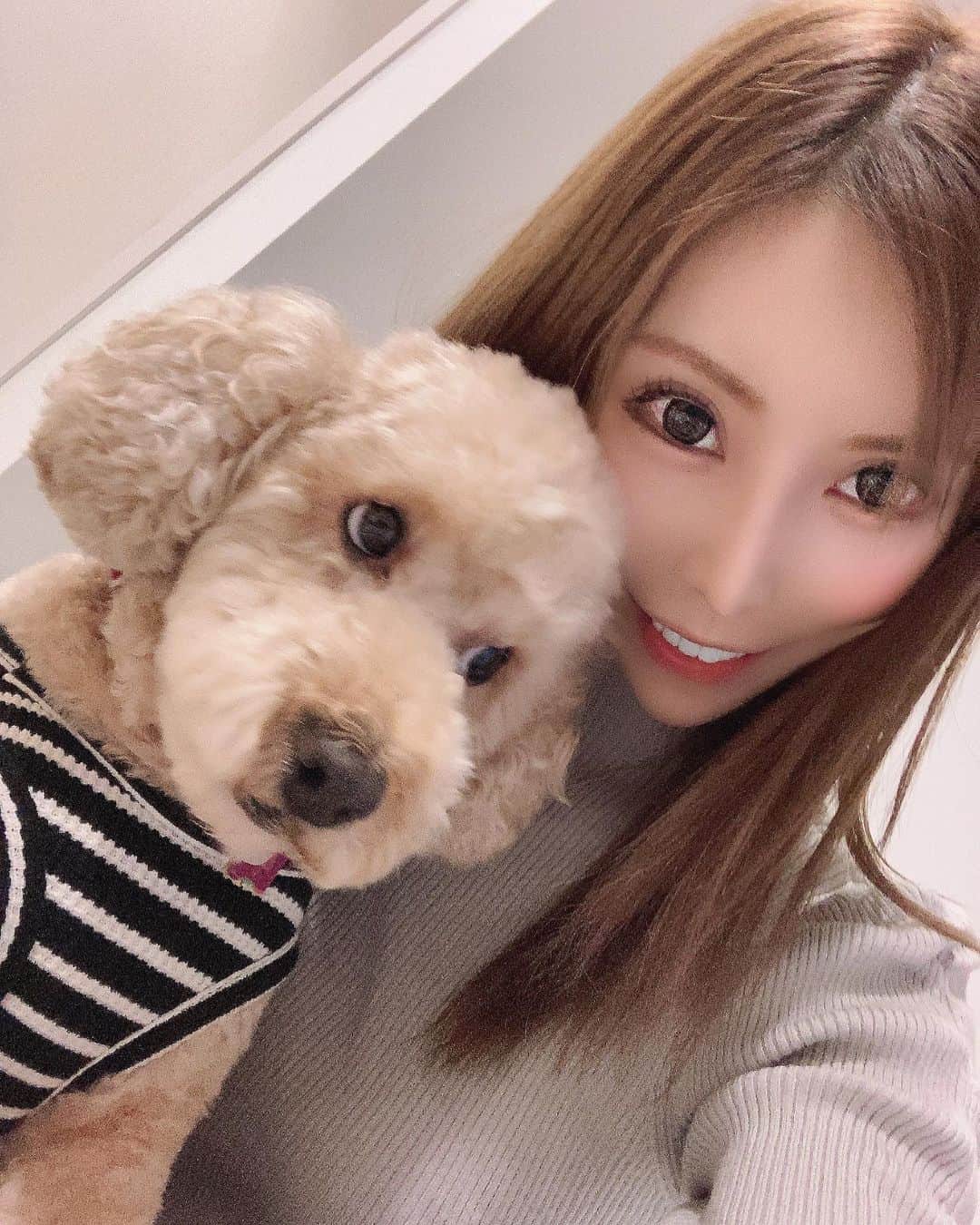 高橋沙弥華のインスタグラム：「どっか向いてる🐖ちゃん💓 奥歯やっと2本完成した😭長かった😭  無意識に食いしばりとか歯ぎしりする人、本当に気をつけてね😂  マツエク辞めてマツパにした👩🏼✨  #まつぱ #マツパ #mydog #いぬすたぐらむ #いぬのいる暮らし #ふわもこ部 #ふわもこ #いぬすきさんと繋がりたい🐶 #セレクトショップ #歯医者 #歯医者さん #ぷう #秋冬ファッション」