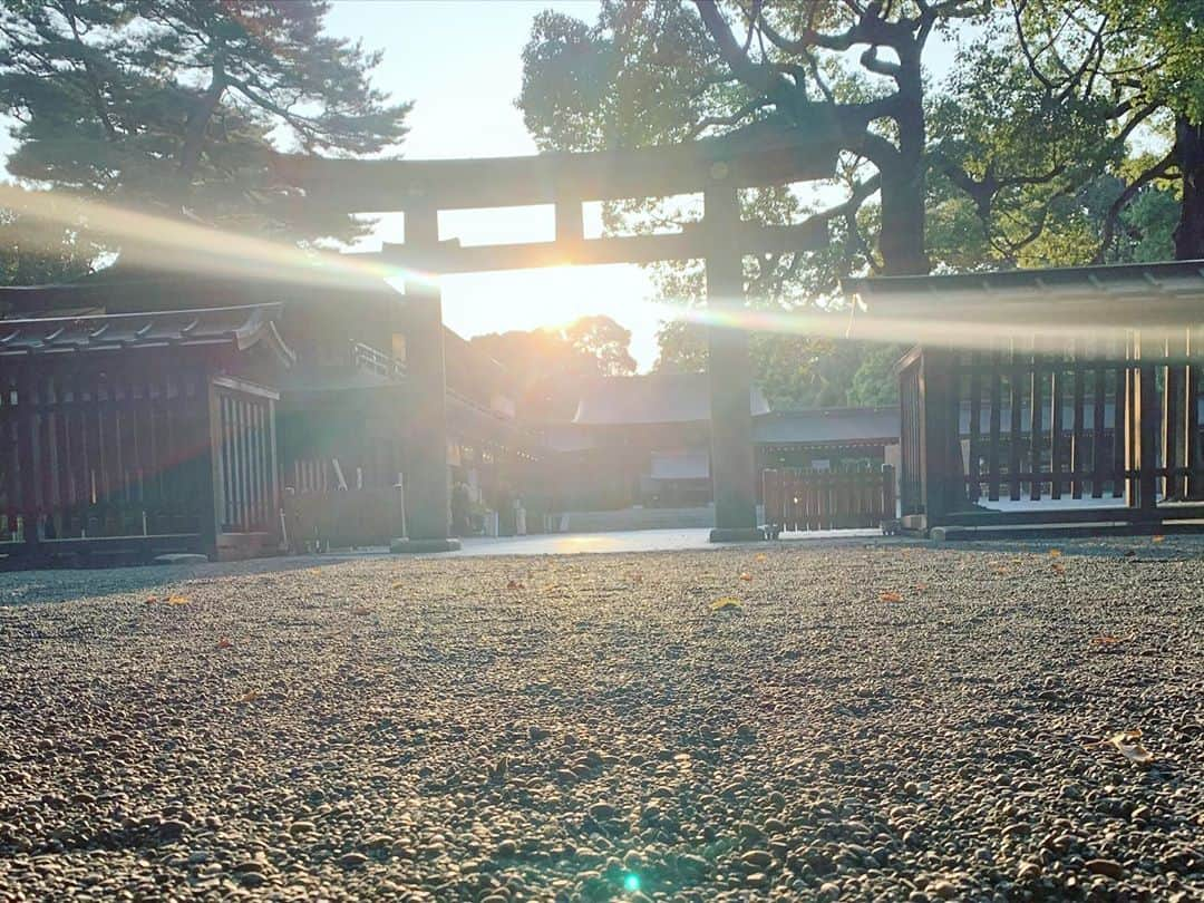 Niinaさんのインスタグラム写真 - (NiinaInstagram)「2020あとすこしだけど 変わらず日本は綺麗🐉☀️🦋」10月11日 15時49分 - niina__official