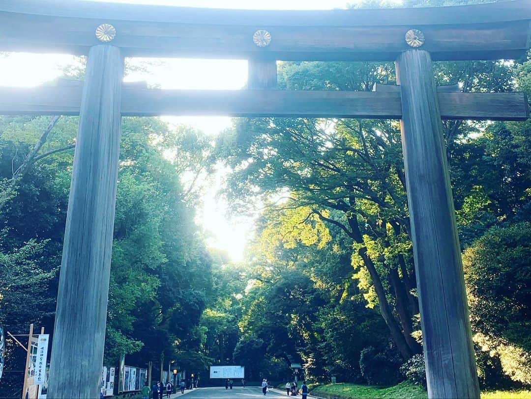 Niinaさんのインスタグラム写真 - (NiinaInstagram)「2020あとすこしだけど 変わらず日本は綺麗🐉☀️🦋」10月11日 15時49分 - niina__official