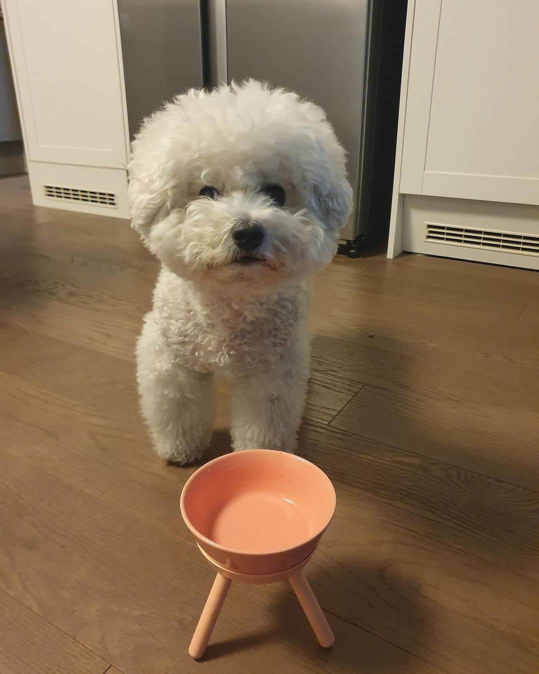 シン・セギョンのインスタグラム：「보고싶다😭😭😭😭😭😭😭😭😭😭😭😭😭😭😭😭😭😭😭😭정말」