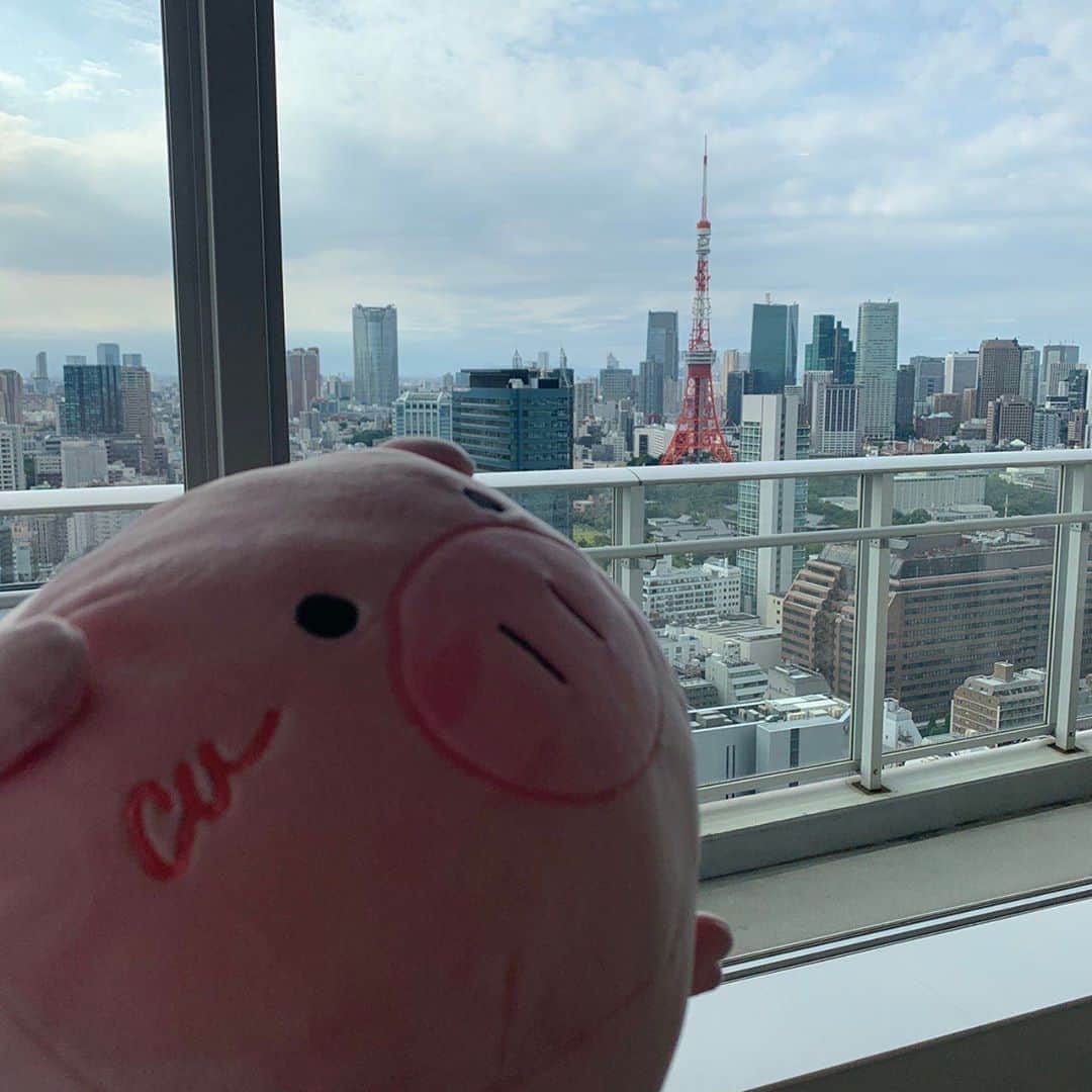 日曜劇場『危険なビーナス』【公式】のインスタグラム：「現場レポート　その14🐖🐖🐖 . . よる9️⃣時初回放送‼️ あと5時間... 私もドキドキしてきた💓 . ここは実は 明人くんのおうち😳💦 . . どこ行っちゃったの明人くん... 第1️⃣話が始まっちゃうよ‼️ . . 皆さん絶対お見逃しなく👀✨ . #日曜劇場 #危険なビーナス #東野圭吾 #ブーナス #ブーナスの現場レポート #妻夫木聡 #吉高由里子 #ディーンフジオカ #染谷将太 #中村アン #堀田真由 #結木滉星 #福田麻貴 #3時のヒロイン #R指定 #CreepyNuts #麻生祐未 #坂井真紀 #安蘭けい #田口浩正 #池内万作 #栗田芳宏 #栗原英雄 #斉藤由貴 #戸田恵子 #小日向文世」