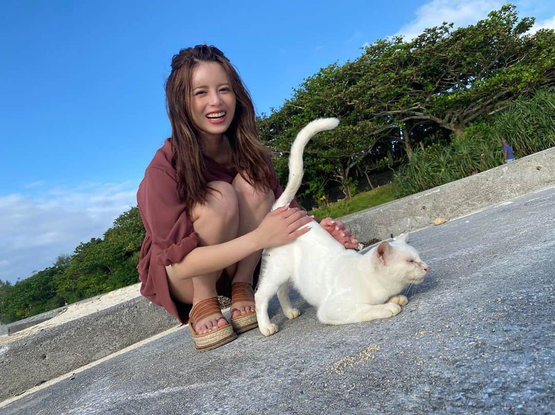 吉崎綾さんのインスタグラム写真 - (吉崎綾Instagram)「撮影中に近づいてきた白猫ちゃん」10月11日 16時18分 - yoshizaki_aya