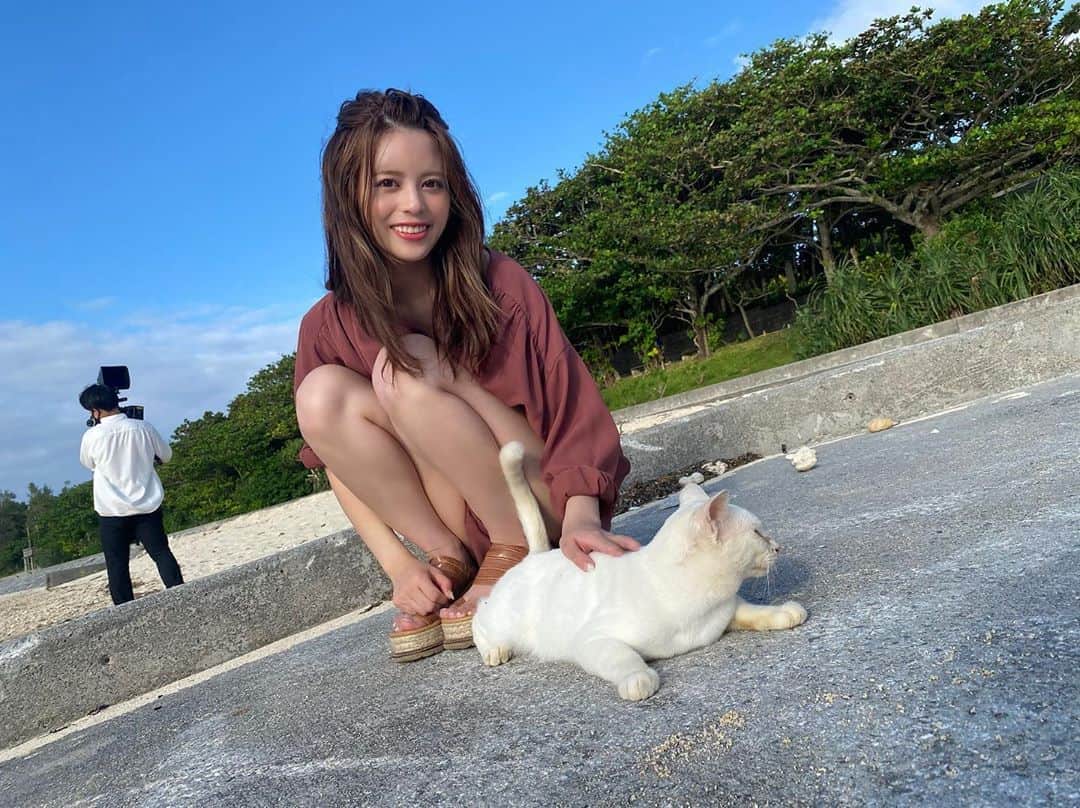 吉崎綾さんのインスタグラム写真 - (吉崎綾Instagram)「撮影中に近づいてきた白猫ちゃん」10月11日 16時18分 - yoshizaki_aya