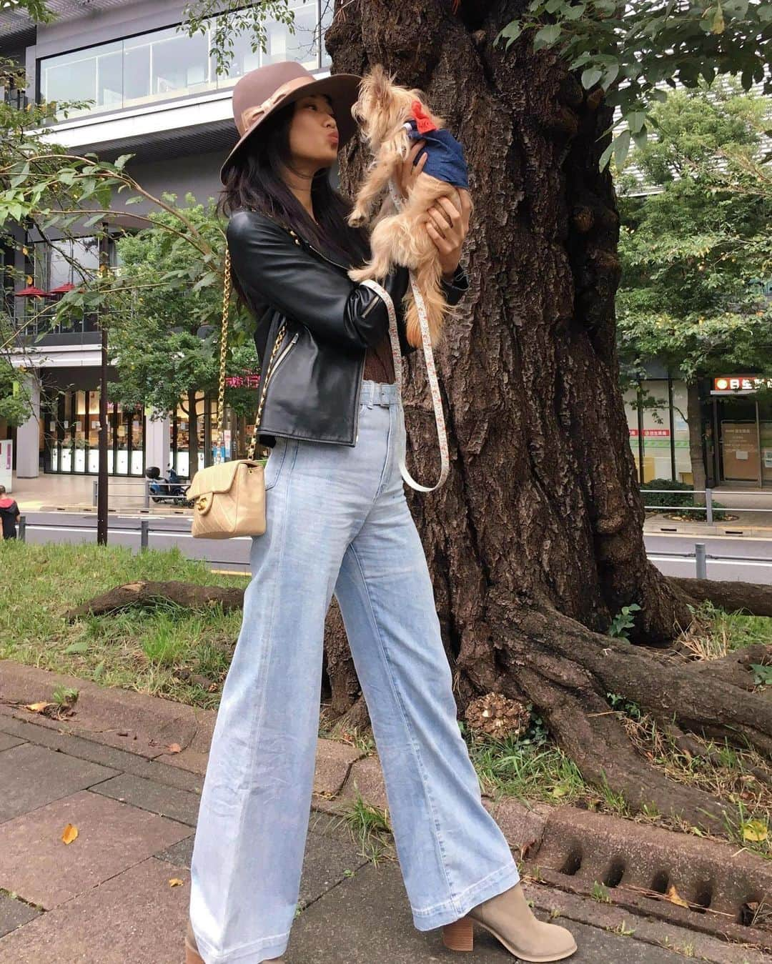 芦田ユリナのインスタグラム：「🐕💕 #chorkie #ヨーチワ」