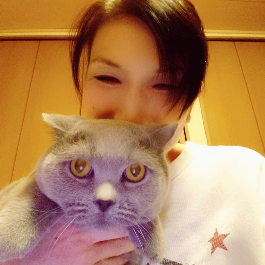 KAORUさんのインスタグラム写真 - (KAORUInstagram)「ただいまー(*^▽^*)  #Marvelouspro #ブリティッシュショートヘア  #諭吉 #猫 #ただいま」10月11日 18時28分 - yukisaku_88