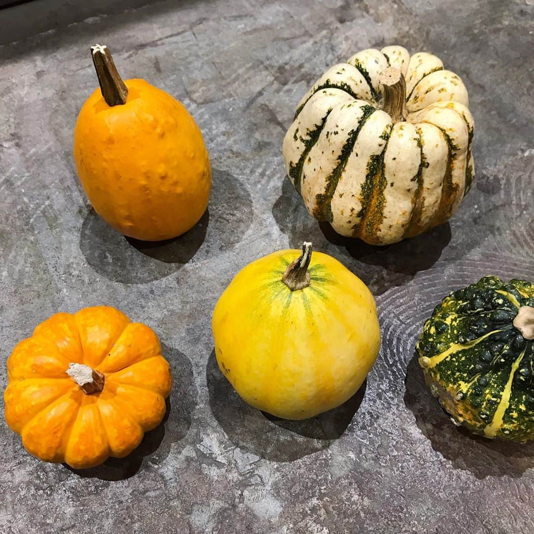 木野園子のインスタグラム：「エクリュギンザとキノのお花の定期便〜10月便ご予約について🎃 ご予約はECRU GINZA @ecru_ginza Instagramトップページ記載のオンラインストアからお願いします🤍 10/20までとなります！（当日分も少しご用意する予定ですが出来るだけご予約をお願いします！今回から配送も可能になりました！） かぼちゃはそれぞれのセットにプラス出来ます✨  #エクリュとキノの定期便﻿ #エクリュギンザとキノの定期便  #エクリュギンザ  #エクリュ  # #銀座  #銀座ソニーパーク#花のある暮らし #おうち時間﻿   #ecru_ginza #ecru #coffeestand #naturalwine  #vinnature #ginza #ginzasonypark ﻿ #quino #キノ #flowers #flowerstagram #flowershop #お花 #花  #お花屋さん #木野園子のお花のお仕事 #flowerbouquet  #フラワーブーケ #💐 #flowerart」