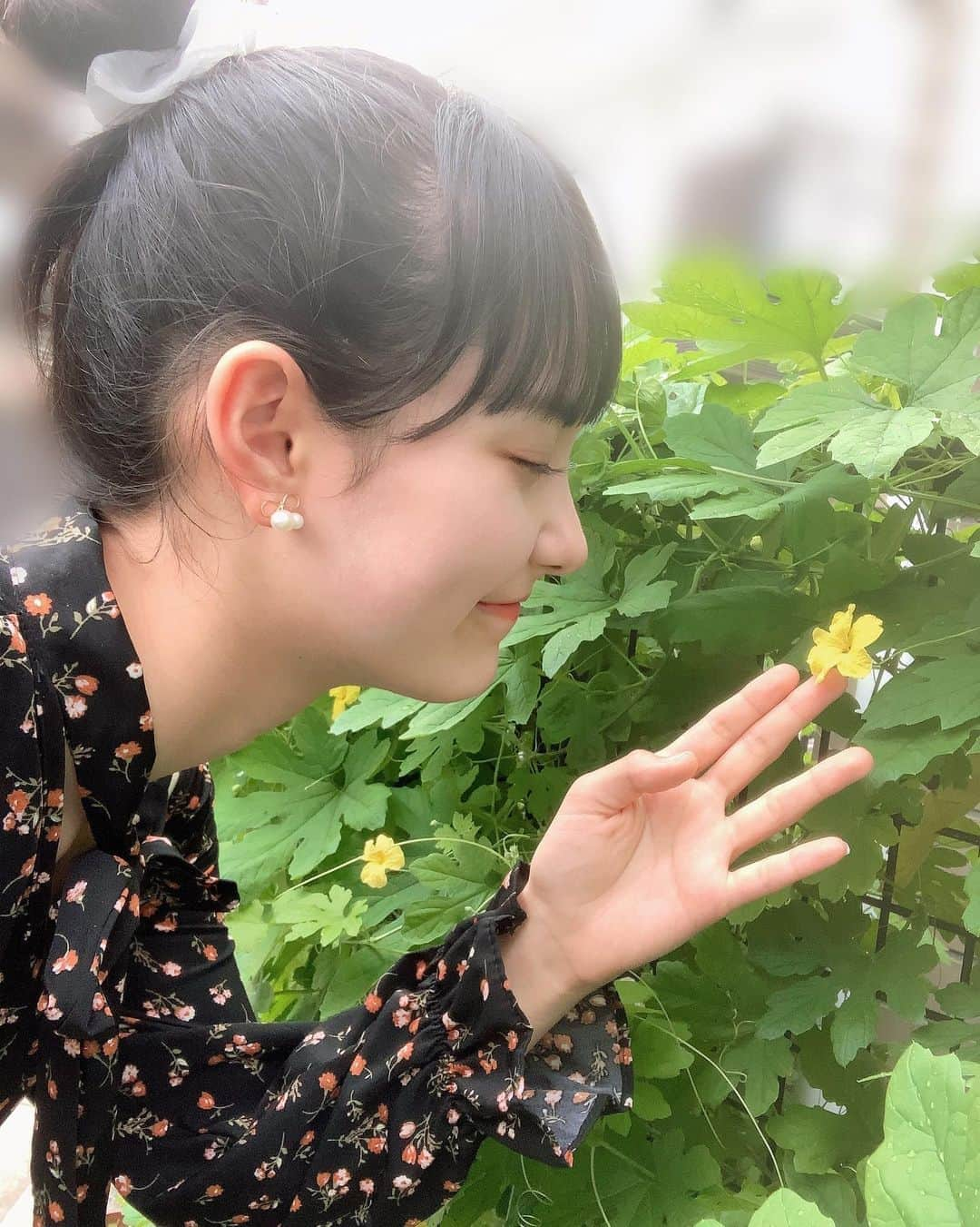 松本恵莉紗さんのインスタグラム写真 - (松本恵莉紗Instagram)「今日は久しぶりの晴れでるんるんでした🌼﻿ ﻿ #松本恵莉紗﻿ #さにーーー﻿ #お団子ヘア﻿ #ゴーヤの花かな、🤔 #明日はテストです。。一緒に頑張ろう☺️」10月11日 19時02分 - elisa_matsumoto