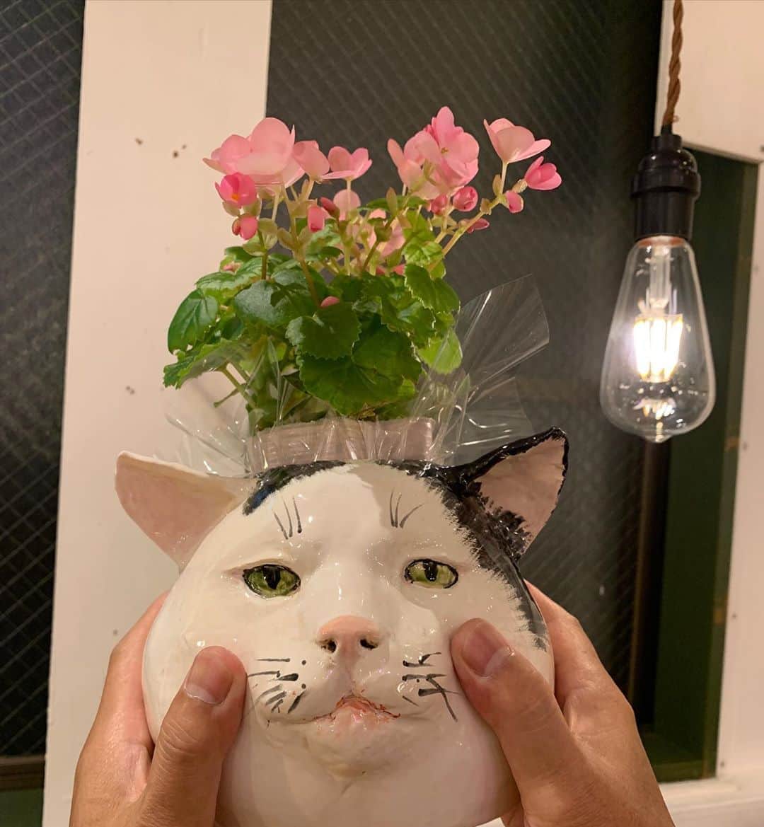 Kachimo Yoshimatsuさんのインスタグラム写真 - (Kachimo YoshimatsuInstagram)「モスクアの @movsumlu さんが作ってくれたナナクロ花瓶、こうやってほっぺをムニムニすると泣けてくる。ありがとうございました。 #うちの猫ら #ナナクロ #ナナクロの絵 #ナナクロの立体 #nanakuro #猫 #ねこ #cat #ネコ #catstagram #ネコ部 http://kachimo.exblog.jp」10月11日 19時07分 - kachimo
