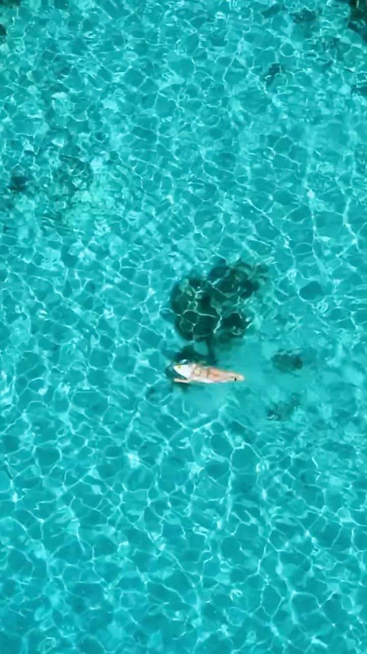 タティアナ・ウェストン・ウェブのインスタグラム：「Tahitian Blue 💙 link in bio ✨ • vídeo: @scottsmithmedia」