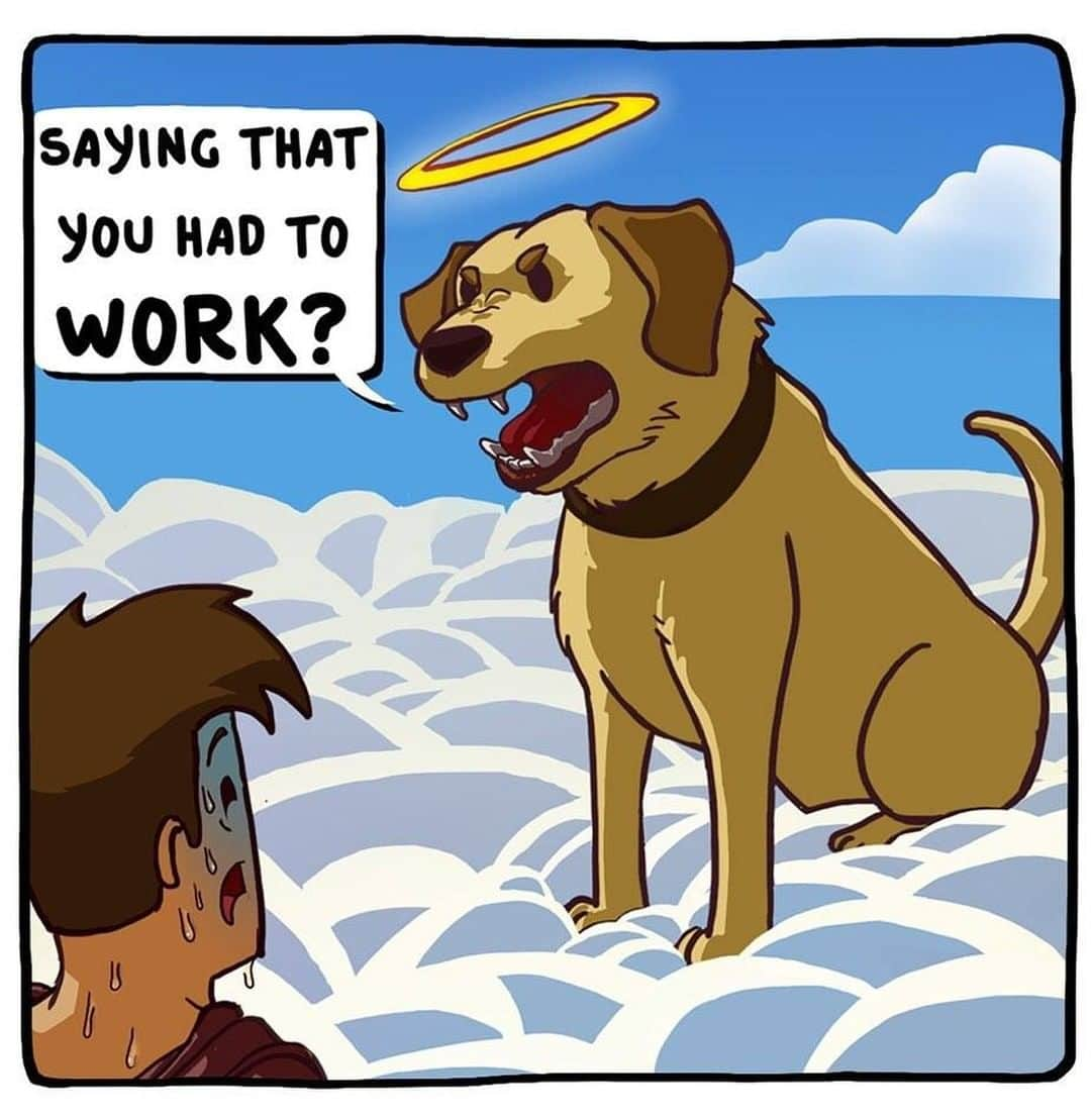 8crapさんのインスタグラム写真 - (8crapInstagram)「My eyes are sweating 🥺 - 🖌 @goofygodscomics - #BarkedArt #barked #doggo #barked #dog #doggo #DogComics」10月12日 5時00分 - barked