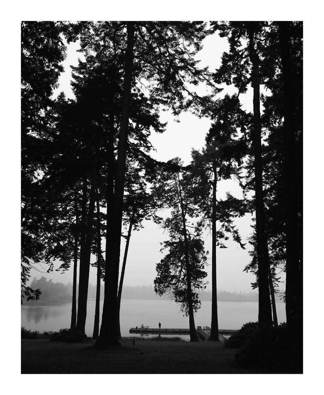 Cory Staudacherのインスタグラム：「among giants」