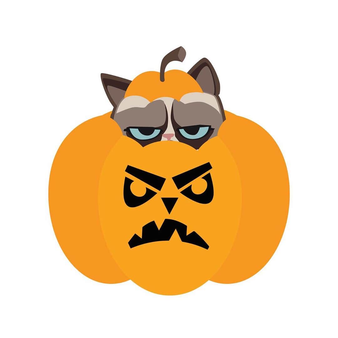 Grumpy Catさんのインスタグラム写真 - (Grumpy CatInstagram)10月12日 6時22分 - realgrumpycat