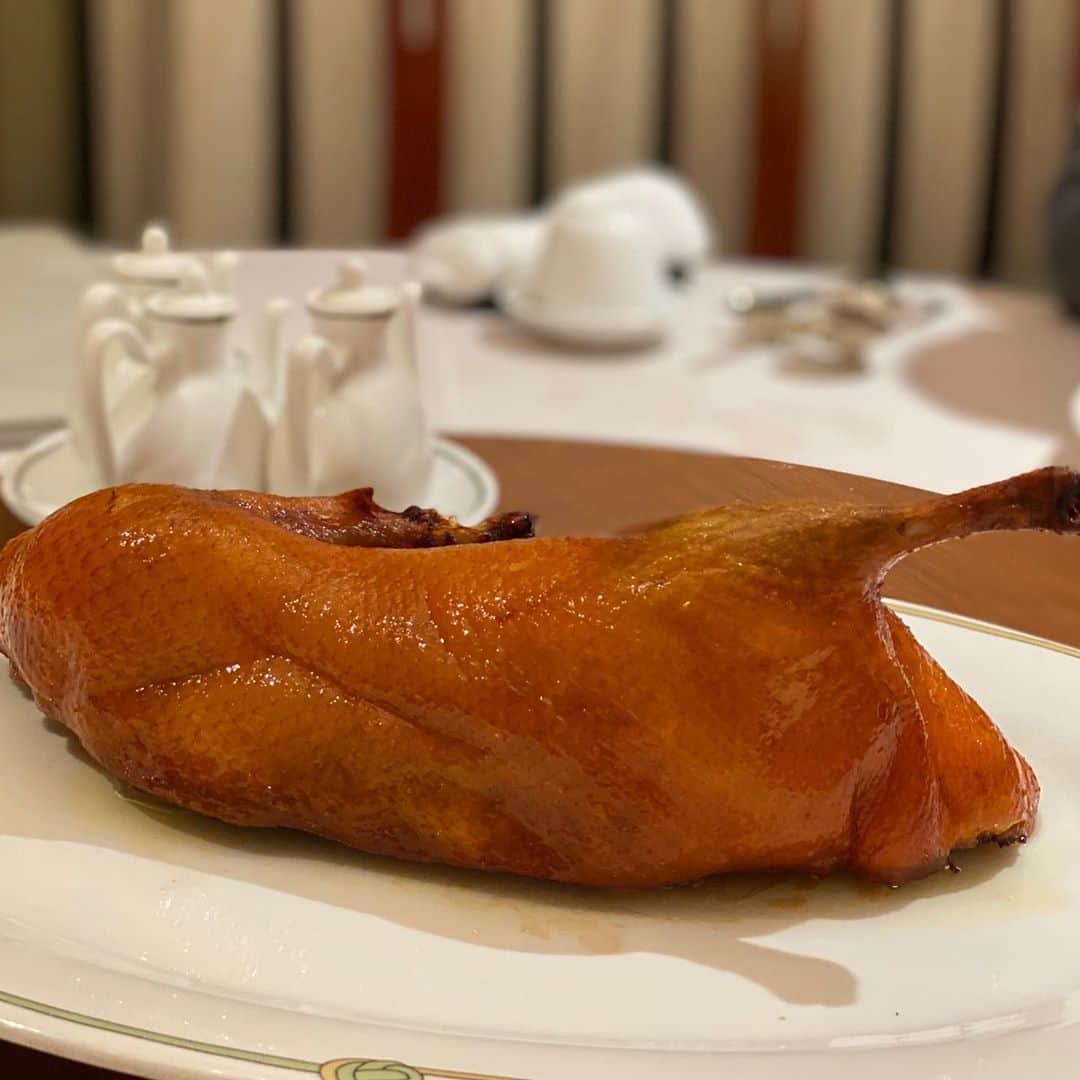 木本泉のグルメインスタ