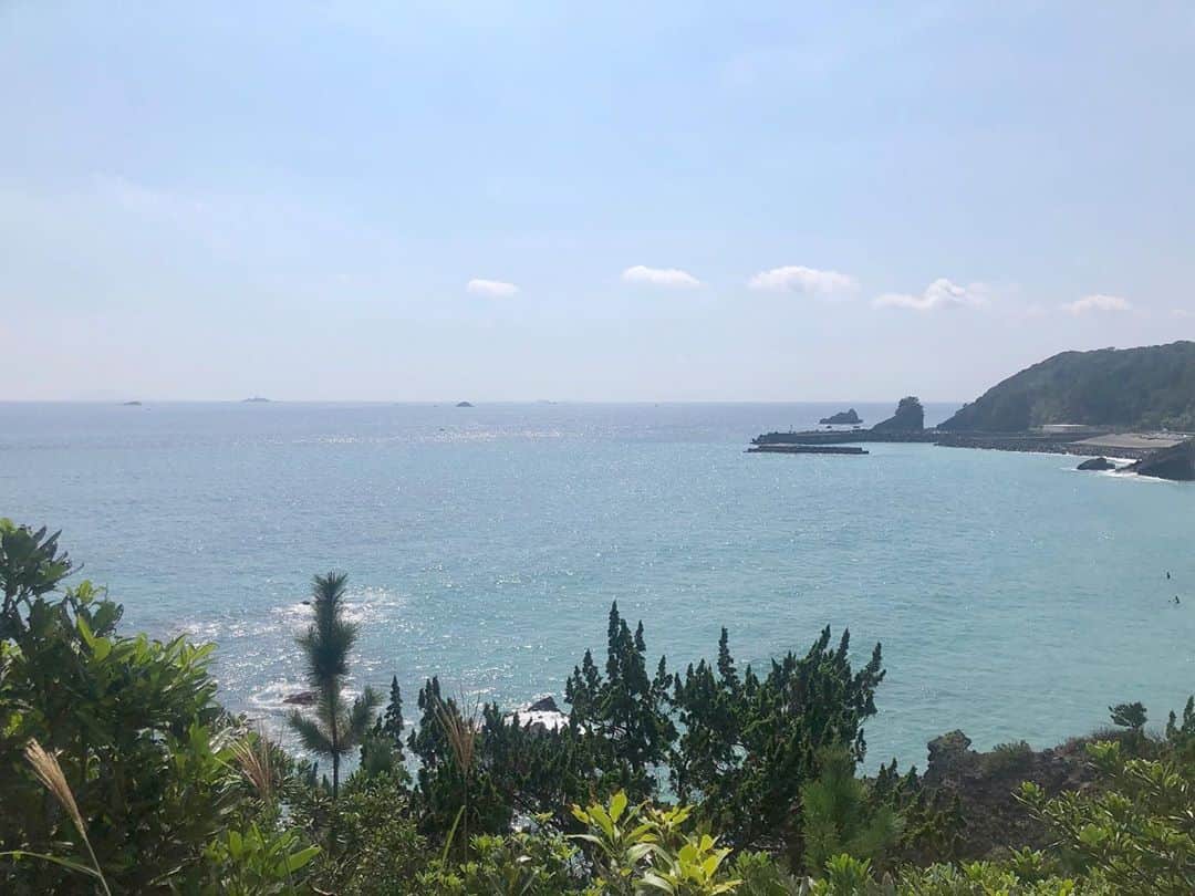 のインスタグラム：「今年の夏はあまり海を見られなかったので癒されました😊波に削られてできたという龍宮窟もとても神秘的だった✨下田の旅おすすめです🌊 ﻿ #海 #静岡 #伊豆 #下田 #王様のブランチ」