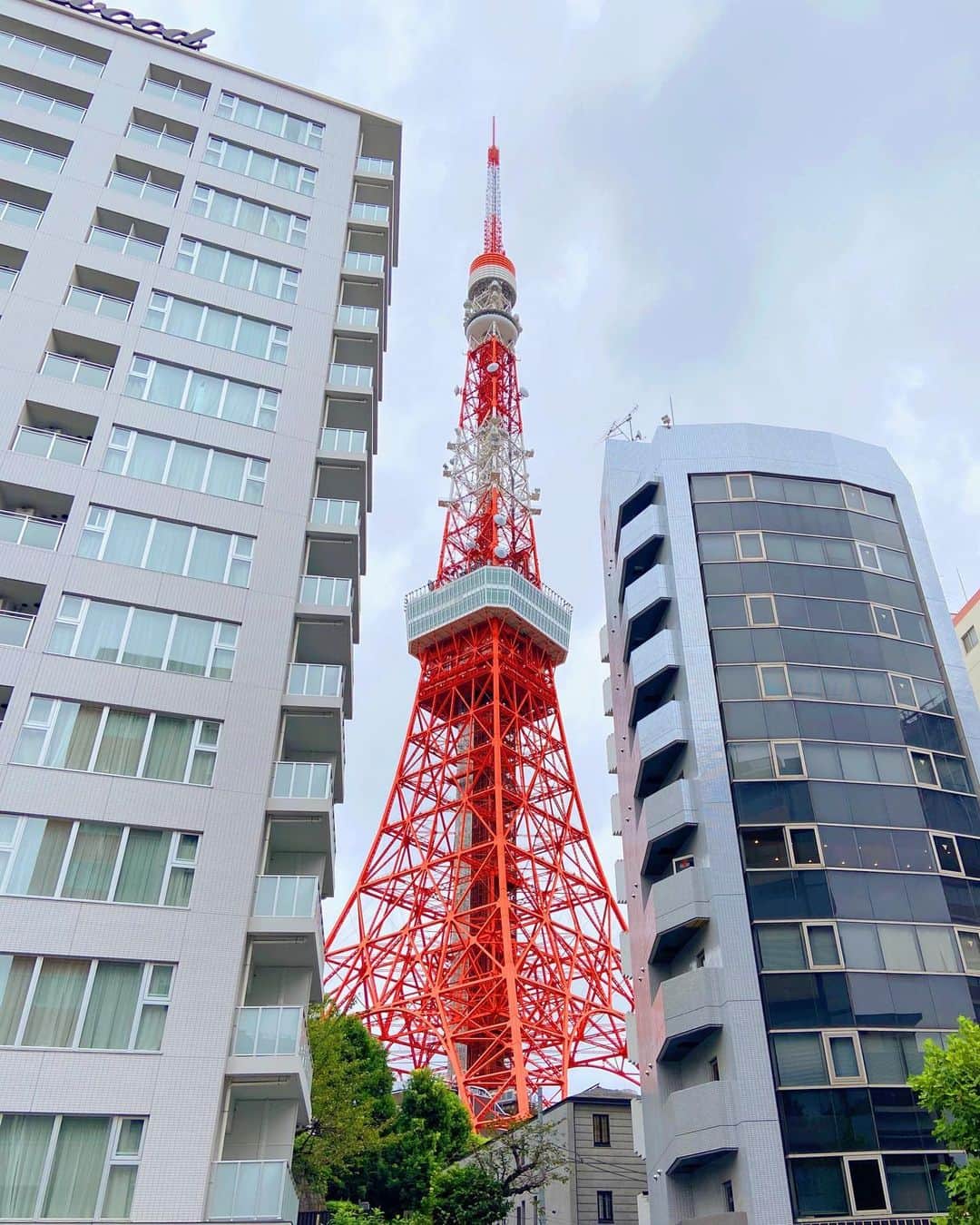 にしおかすみこさんのインスタグラム写真 - (にしおかすみこInstagram)「ぬうっと現れた。 #東京タワー #見ると撮っちゃう #行き ここから目的地の建物が近いはず。。 でも、わからない。。と思いながら、写真を撮る。 #帰り #見ると撮っちゃう 。。はて、ここからどっちに行くと、 もと来た駅だっけ。。と思いながら撮る。 #中年にもなると #迷子に余裕がでる😎  #告知です #明日#10月12日月曜日#テレ東#なないろ日和#９時26分から 家の外回りのお掃除特集です。 観てください。」10月11日 22時04分 - nishioka_sumiko