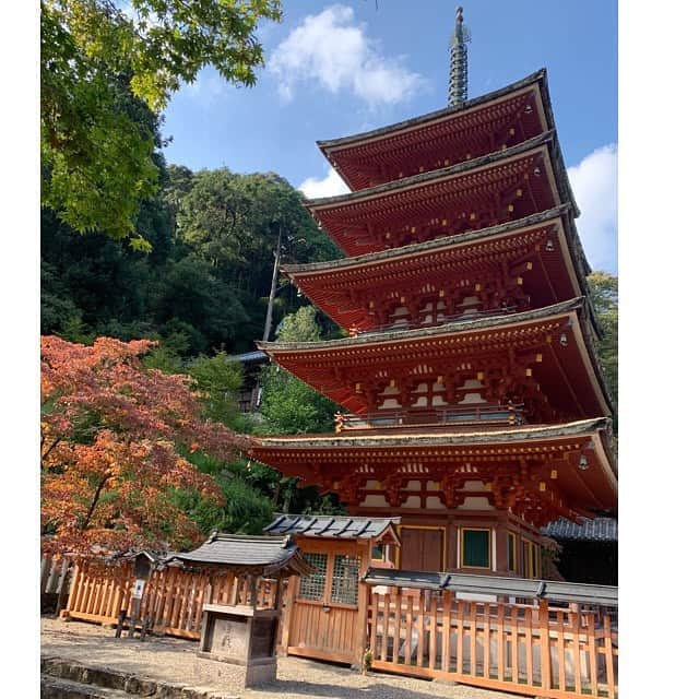 美蘭レンナさんのインスタグラム写真 - (美蘭レンナInstagram)「. . 奈良の旅🍁 . 登廊を上って本堂へ😌✨✨ 広い境内から見える風景。 . 山々や少し色づいた紅葉に 秋の訪れを感じます😊🍁✨✨ . . 関西にいながら 奈良といえば いつも鹿に会いに行くばかり🦌🦌🦌 . . そういえば今年は鹿にも会えてない😳 . もっと奈良へ訪れたいですね🍁💕 . . #そうだ奈良に行こう . . . #奈良#関西#旅#旅行#長谷寺#総本山長谷寺#五重塔#お寺#お寺巡り#お寺めぐり#神社仏閣#神社仏閣巡り#お守り#紅葉#秋#もみじ#秋の訪れ#自然#10月」10月11日 22時04分 - renna_miran33