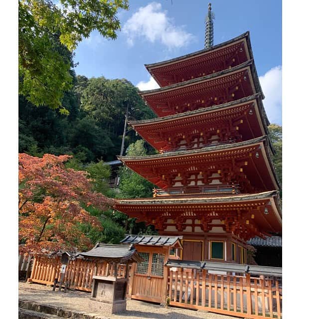 美蘭レンナのグルメインスタ