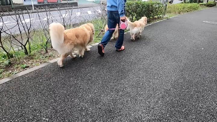 まゆみのインスタグラム