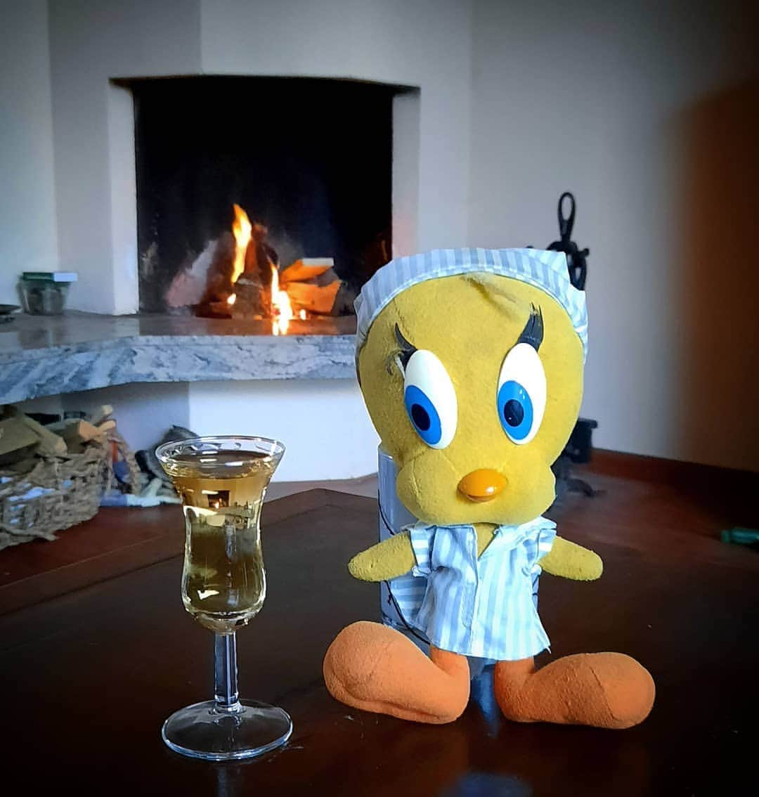 Little Yellow Birdさんのインスタグラム写真 - (Little Yellow BirdInstagram)「Enjoying a quiet Sunday evening by the fire! #littleyellowbird #tweety #tweetykweelapis #adventures #yellow #bird #weekend #sunday #sundayevening #happyhour #woodfire #openhaard #haardvuur #fireplace #cosy #autumn #fall #herfst #jenever #borrel #stuffedanimalsofinstagram #plushiesofinstagram」10月11日 22時41分 - tweetykweelapis