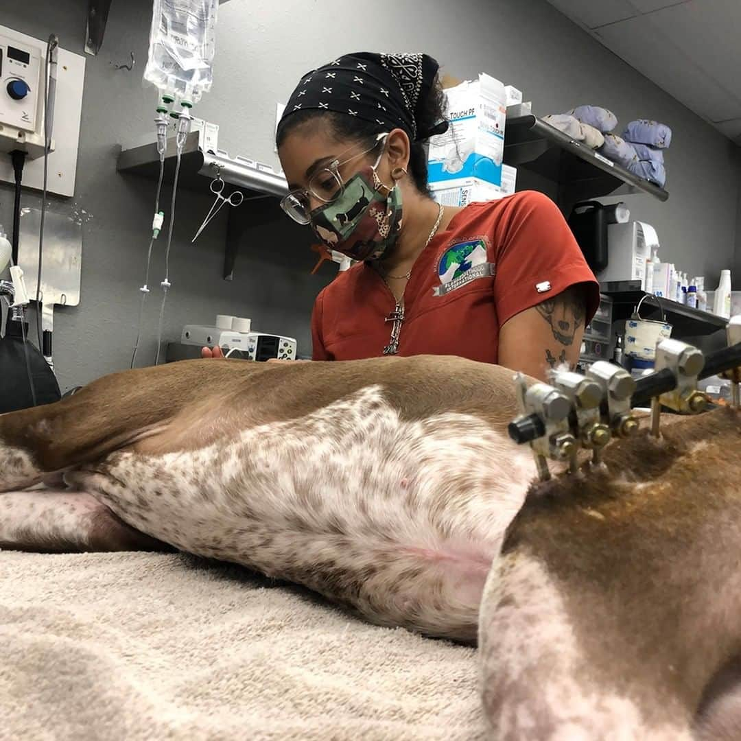 アニマルプラネットさんのインスタグラム写真 - (アニマルプラネットInstagram)「Happy National Veterinary Technician Week! Vet techs play crucial roles in caring for animals, whether they’re holding a scared dog during an exam, assisting veterinarians in surgery, or providing cuddles when pets are in need of some TLC. Thanks for everything you do!  . . . . . . . #animalplanet #vettech #veterinarytechnicial #veterinarymedicine #veternarian #drjeff #drjeffrockymountainvet #animals #pets #vetclinic #animalhospital」10月11日 23時00分 - animalplanet