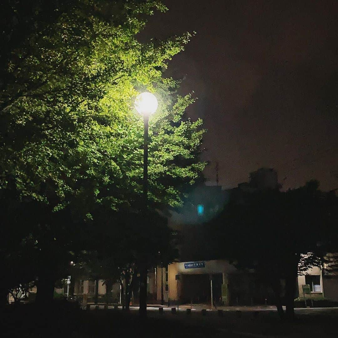 滝本竜彦さんのインスタグラム写真 - (滝本竜彦Instagram)「Night Walking」10月11日 23時08分 - tatsuhikotkmt