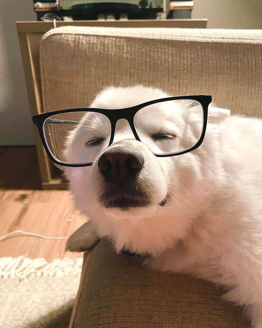 のインスタグラム：「"I think it's time to update my prescription 👓" - @lennon_esquire 📷🔄 @warbybarker」