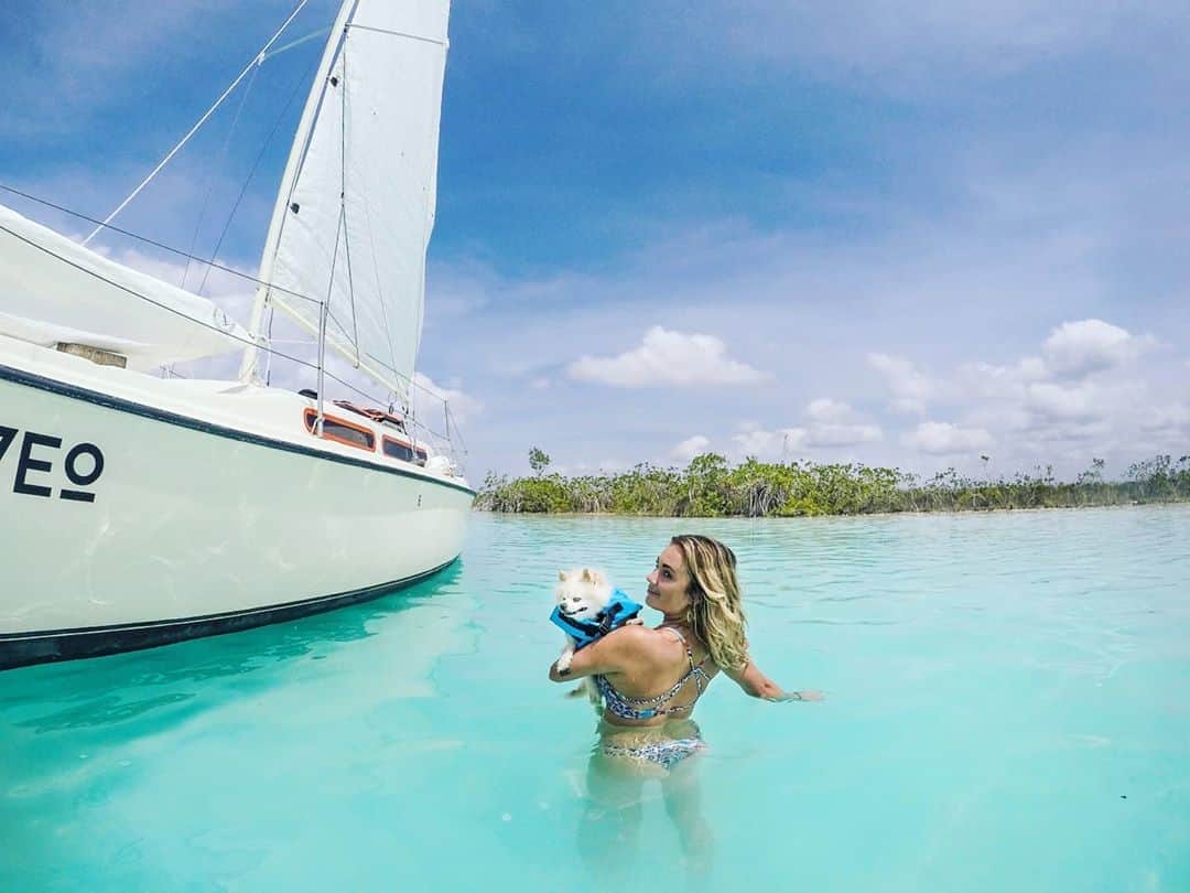 アリサ・ラモスのインスタグラム：「Have you ever seen a lake this blue?! Welcome to Lake Bacalar! Also known as the Laguna de los 7 Colores because of the many shades of blue! . There's so many interesting facts about this lake, I don't even know where to begin, but I will start by saying that I LOVE Bacalar! . We went sailing on the lake with @daytourbacalar who did a phenomenal job of bringing us to the best areas to swim as well as dropping all the info about the lake and its importance to the atmosphere (it's an oxygen gold mine). . You should know that you definitely need a boat tour to see the best spots, as sometimes they need to sail an hour away depending on how the weather has been, and also to see the Cenotes. . Ok so now my fun facts! . 🌬️This lake is particularly important because not only does it have a mangrove jungle (highest oxygen producing plants) but also stromatolites, which look like white boulders covered in fuzzy mud, which also produce a ton of oxygen! . 🌊 The water looks extra blue because the bottom of the lake is made of white sulfuric mud!  . 🛶 There is a Mayan-man-made canal cut through it called the Pirates Canal, that was made as an important trading route, then later infiltrated by pirates. . 🤯 There are Cenotes (really deep water holes with underground caves) IN the lake! . 🛏️ There are also tons of hotels and restaurants right on the lake! . Definitely add this sailing tour to your list of things to do when you visit this area of Mexico!! It's only about 4 hours from the airport (2 hours from Tulum) and 100% worth it! . Blog post itinerary coming this week! . Is Bacalar on your to-do list? Do you have any questions about it? . (PS how cute is Oscar's shark fin life vest?!) . .   #daytourbacalar #bacalar #lakebacalar #sailing #mexico #quintanaroo #rivieramaya #mylifesatravelmovie #ecofriendly #sustainabletravel」